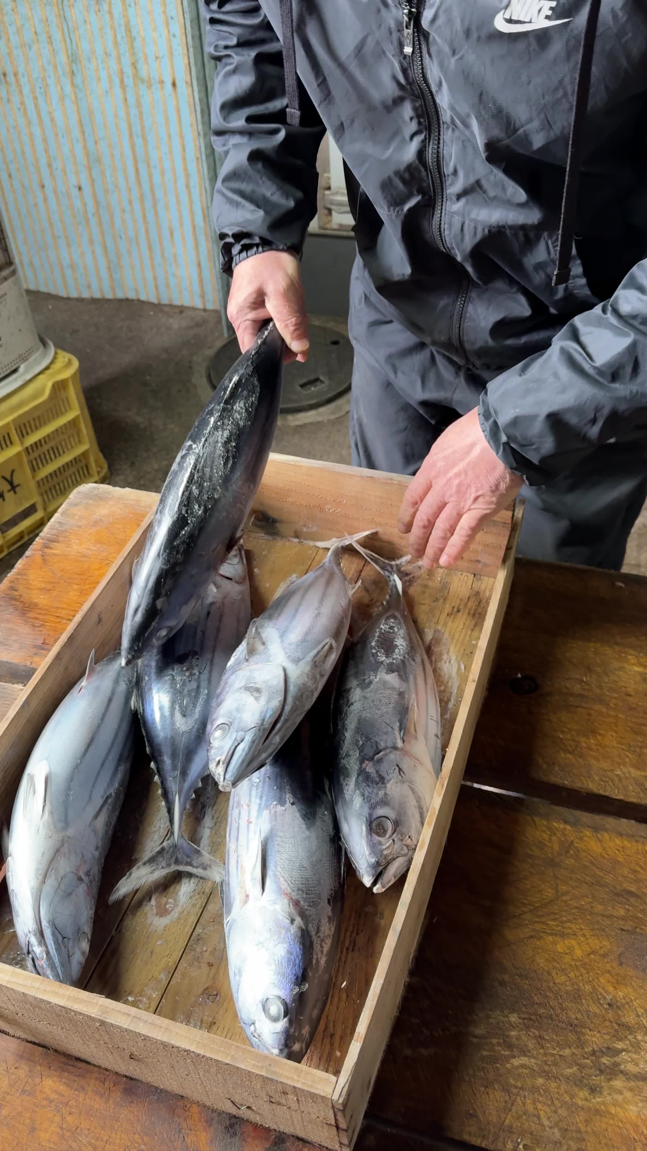 Kaneshin Dried Seafood Shop