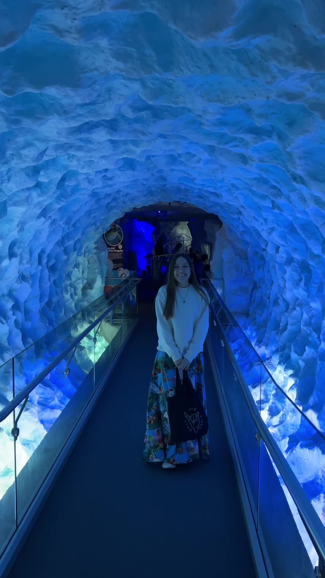 SEA LIFE Kelly Tarlton's Aquarium