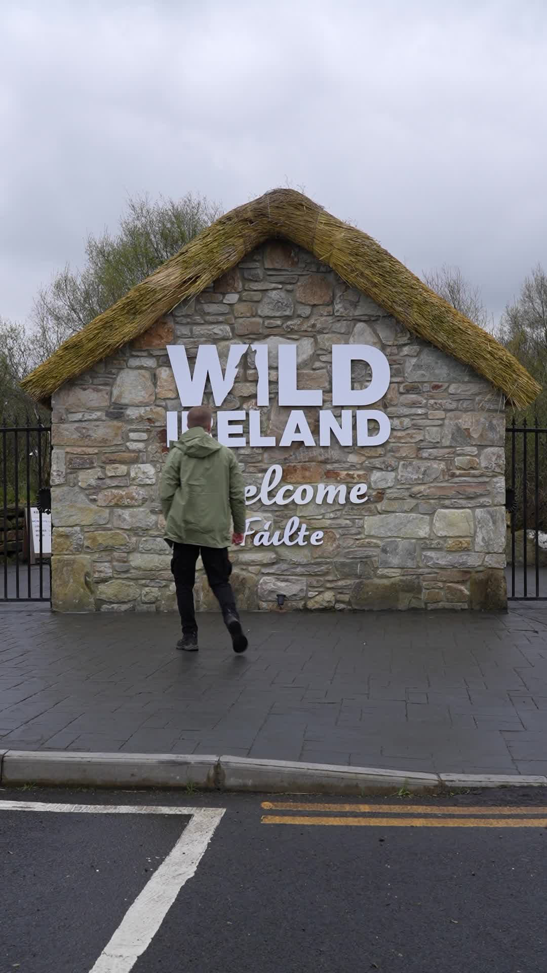 Wild Ireland