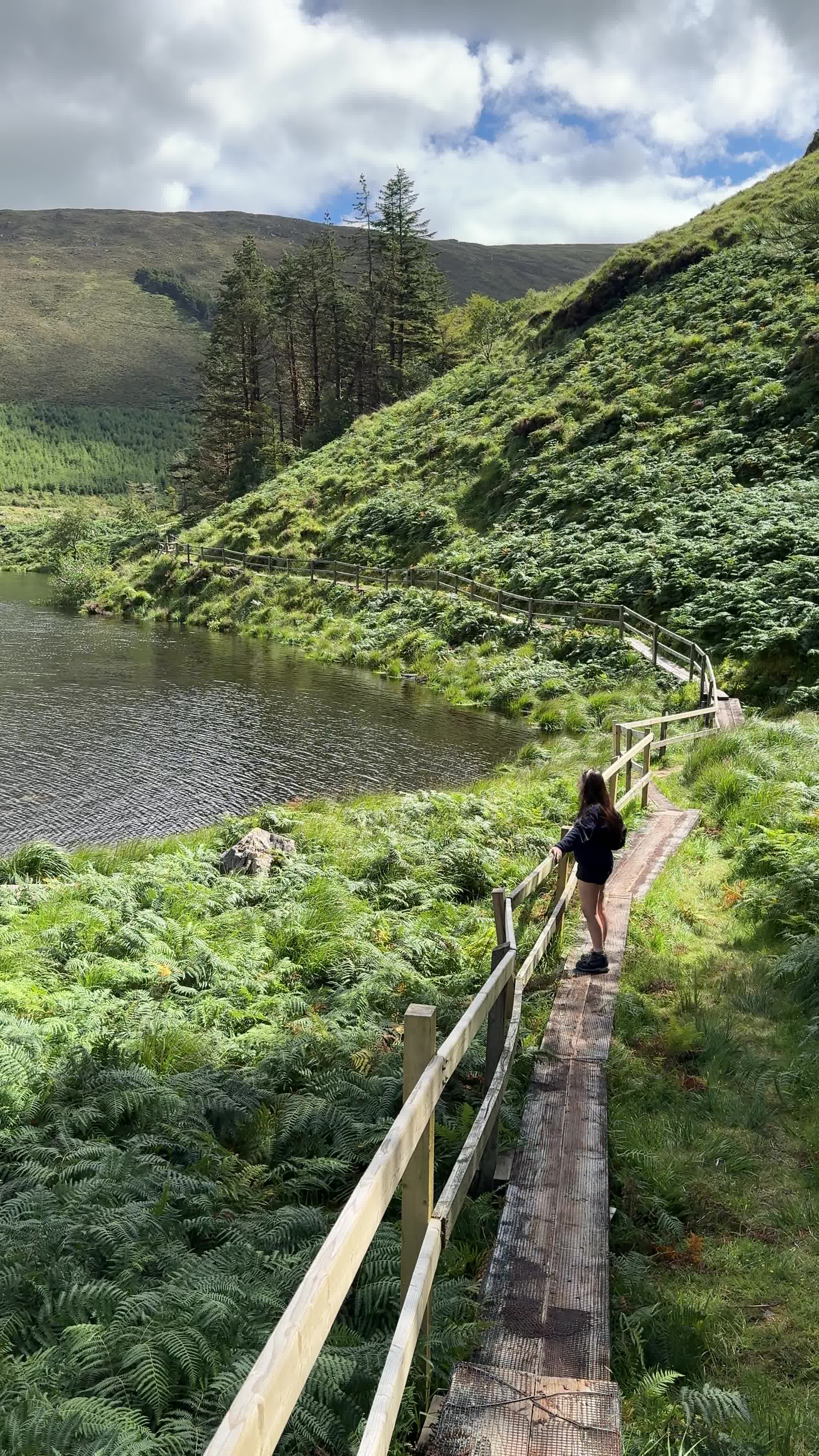 Glanteenassig Forest Park