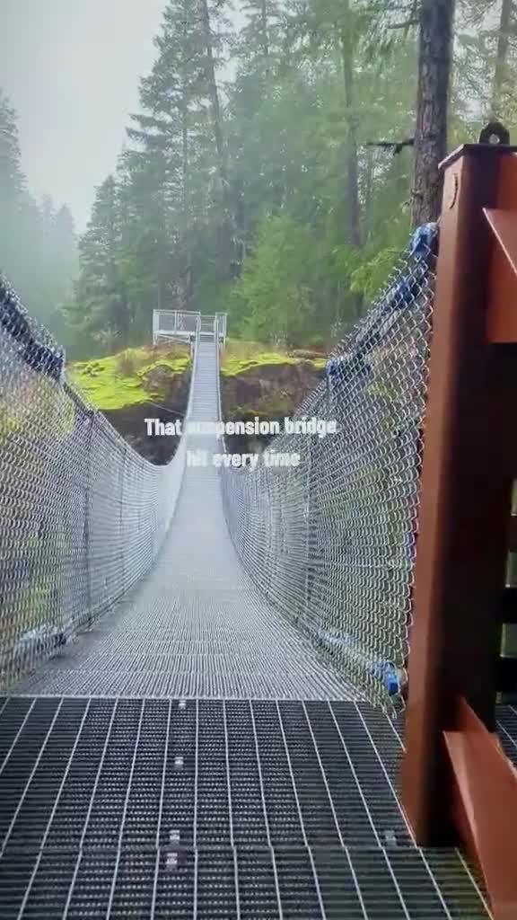 Elk Falls Suspension Bridge