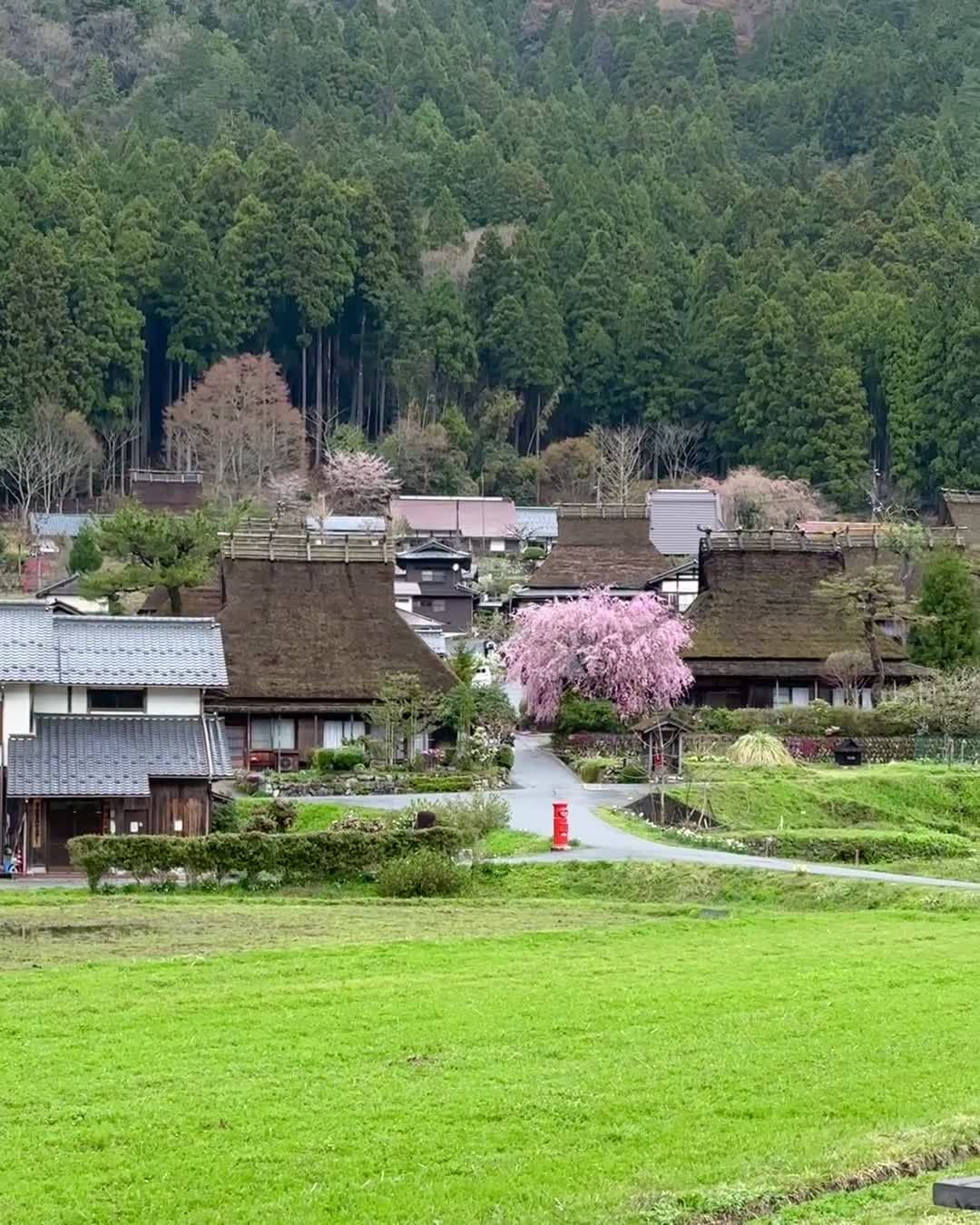 Iconic sight of Kayabuki no Sato