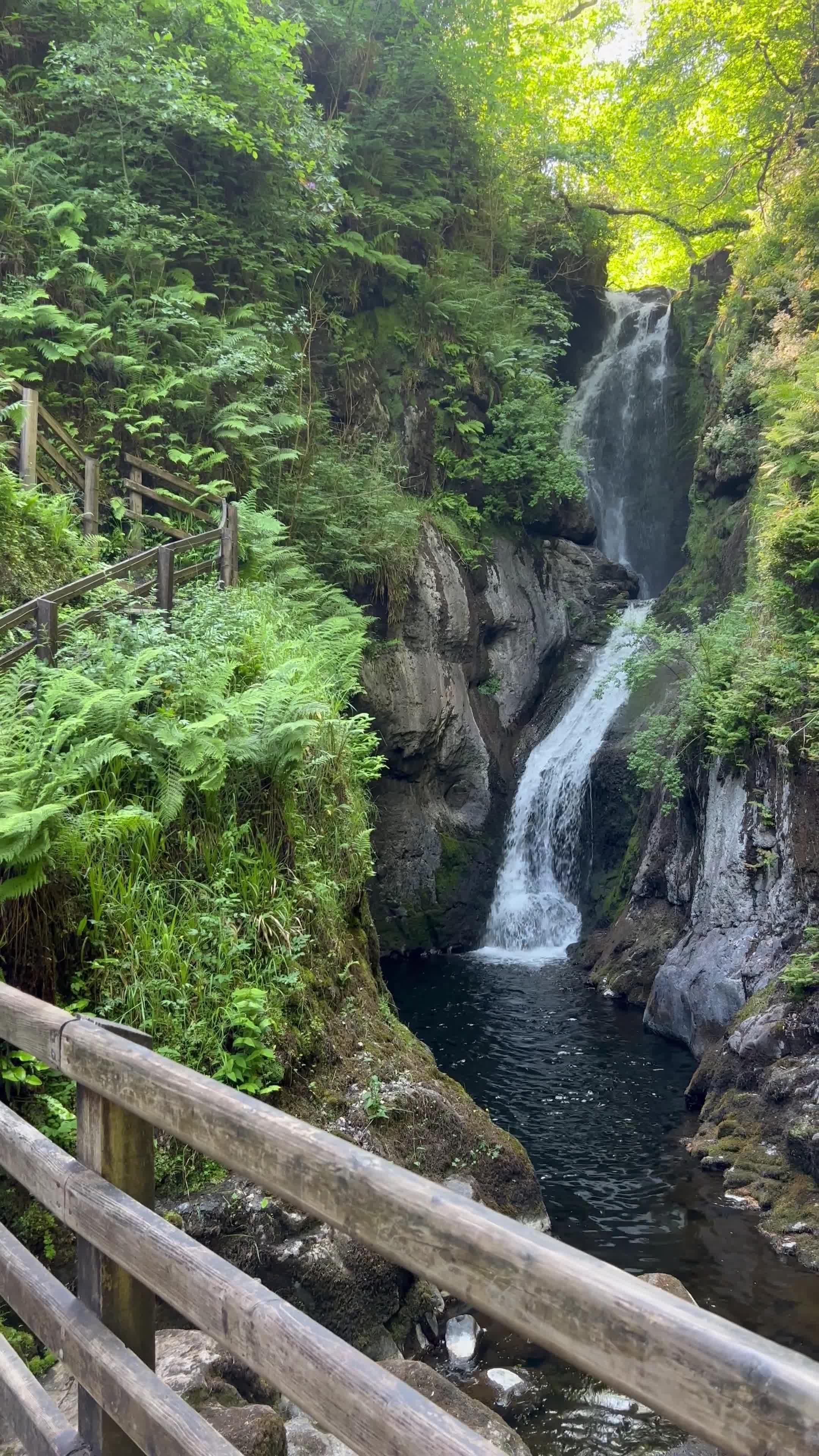 Glenariff Forest Waterfalls