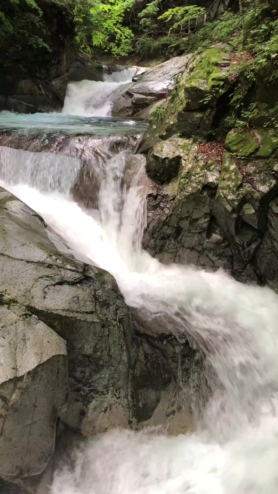 Nishizawa Gorge - Rural Travels, Japan - Rexby