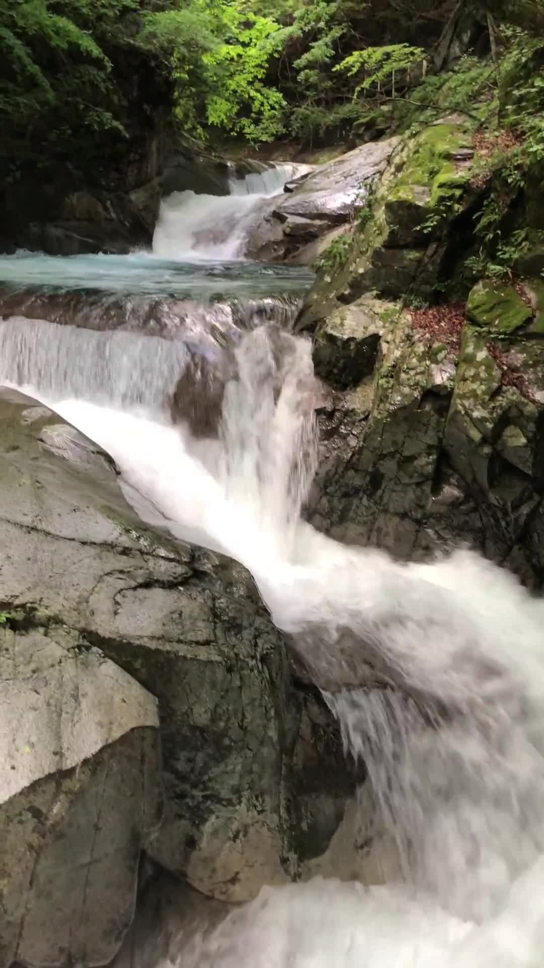 Nishizawa Gorge - Rural Travels, Japan - Rexby