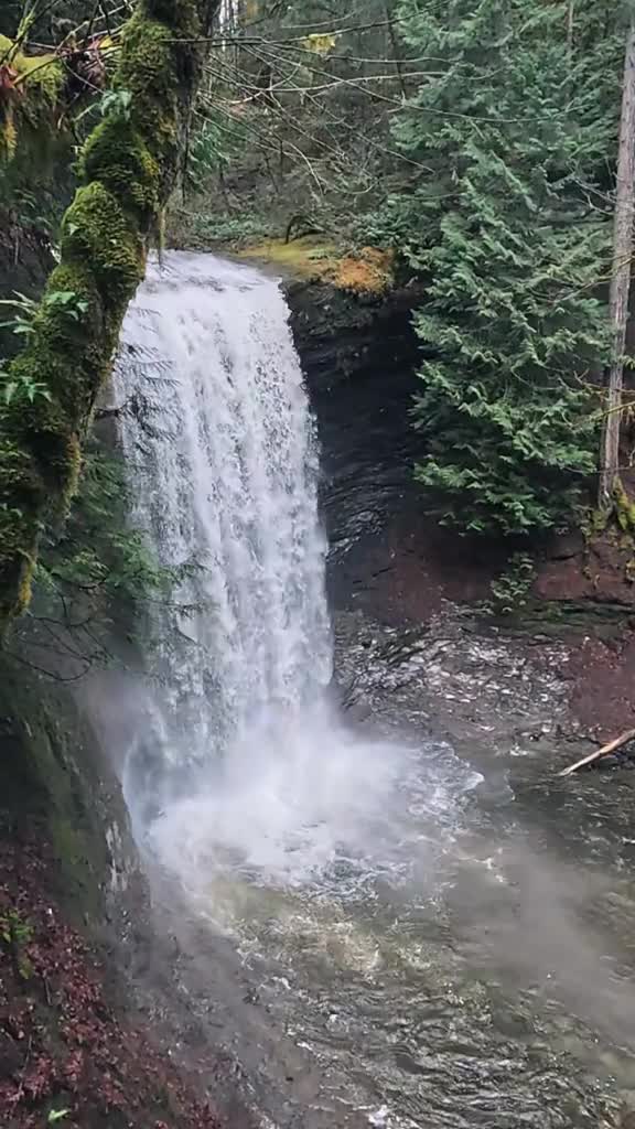 Ammonite Falls