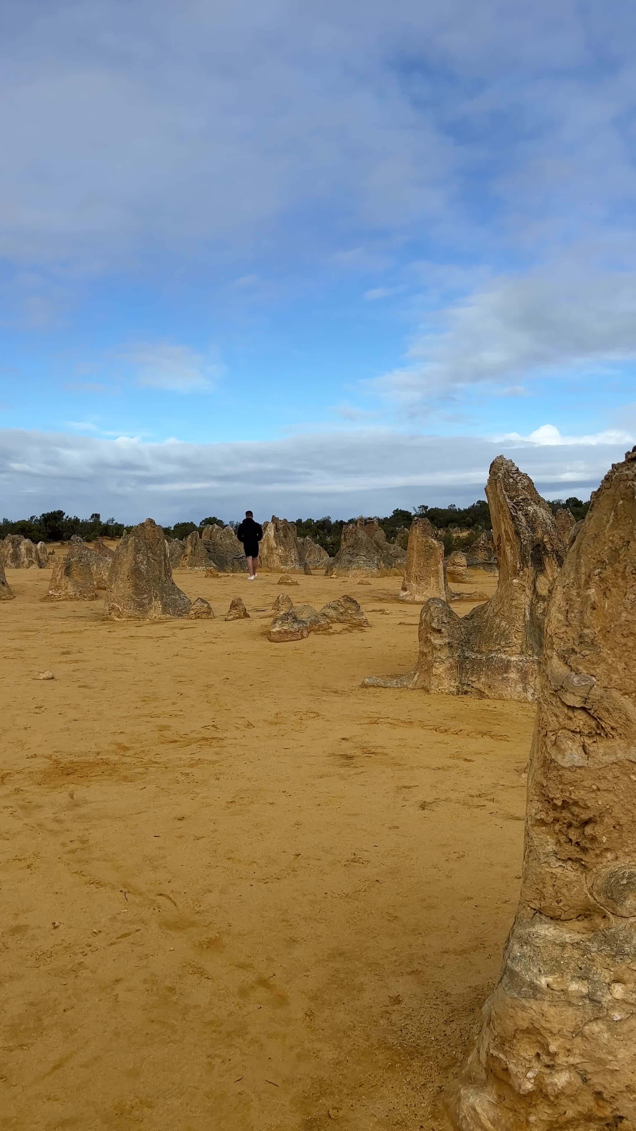Pinnacles Desert Discovery Centre