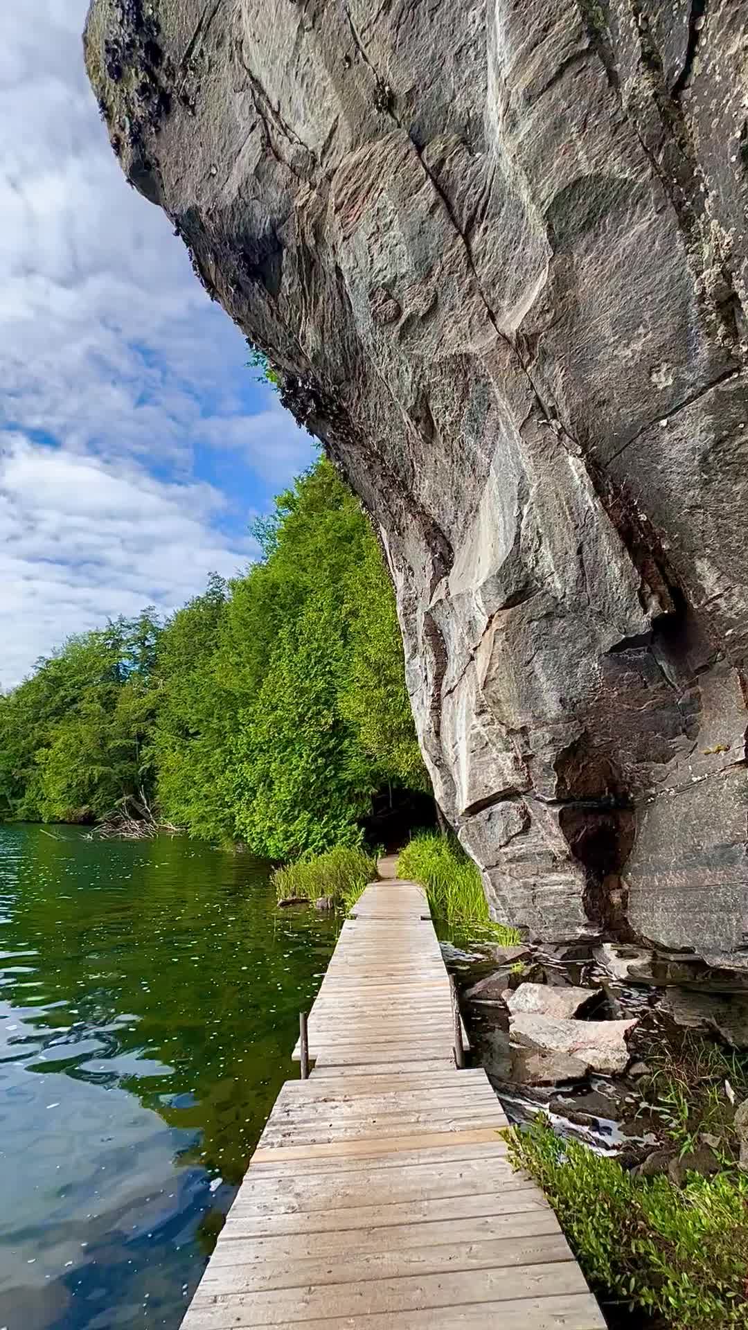 Limberlost Forest and Wildlife Reserve