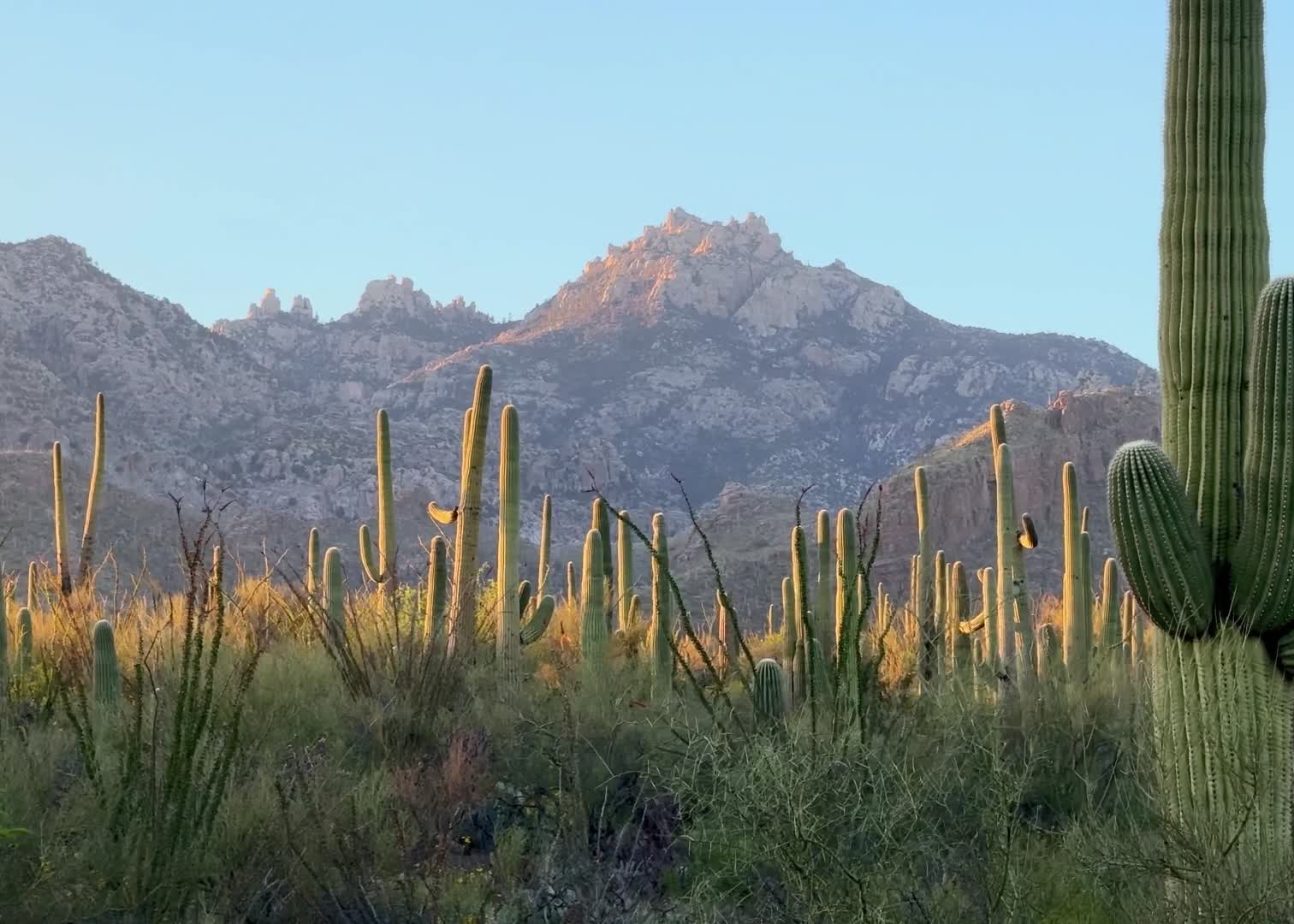 Bear Canyon to Seven Falls Trail