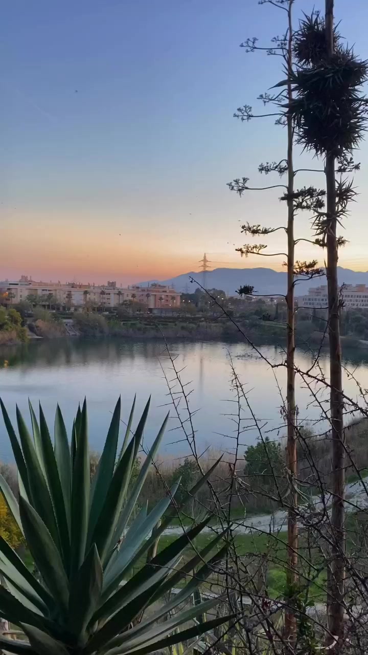 Laguna de La Barrera