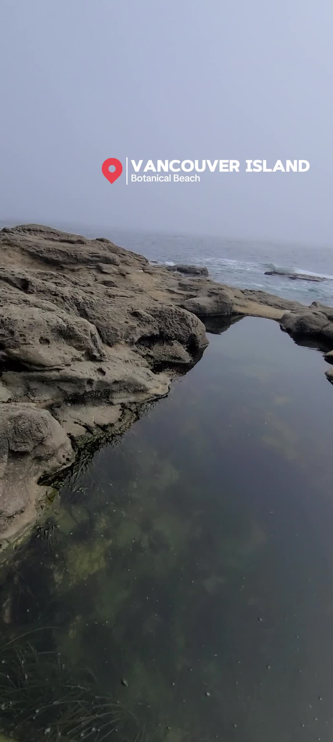 Botanical Beach Provincial Park