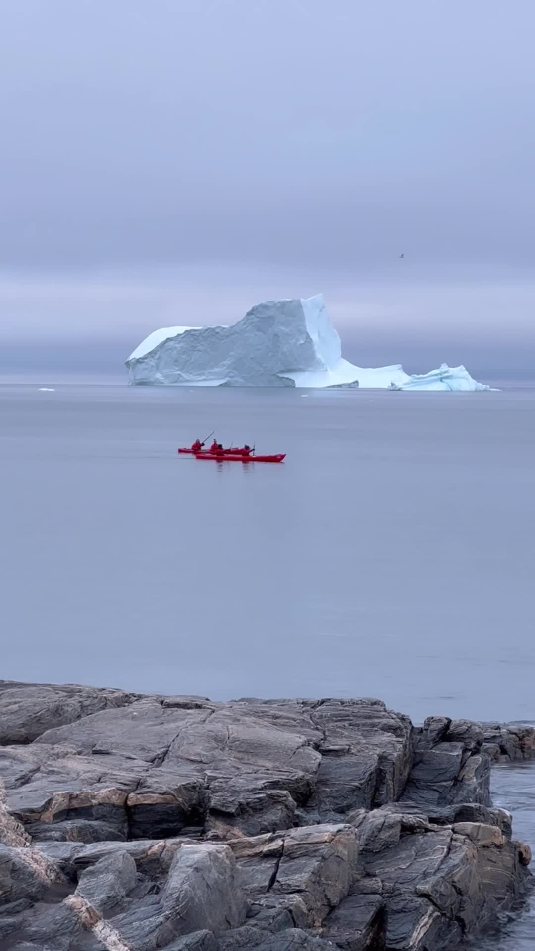 Kaykaking in lulissat at Disko Bay