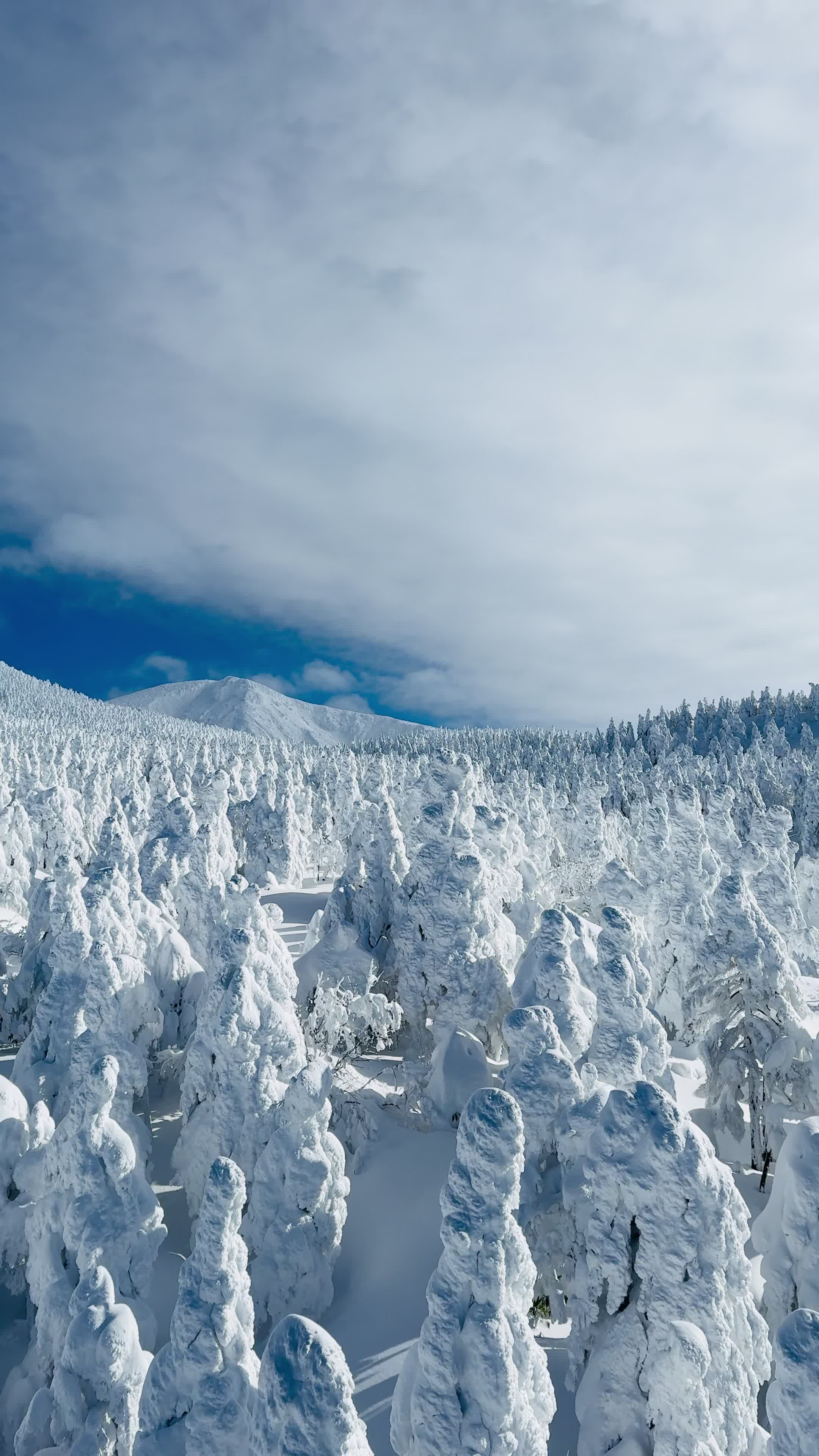 Zao Onsen Ski Resort