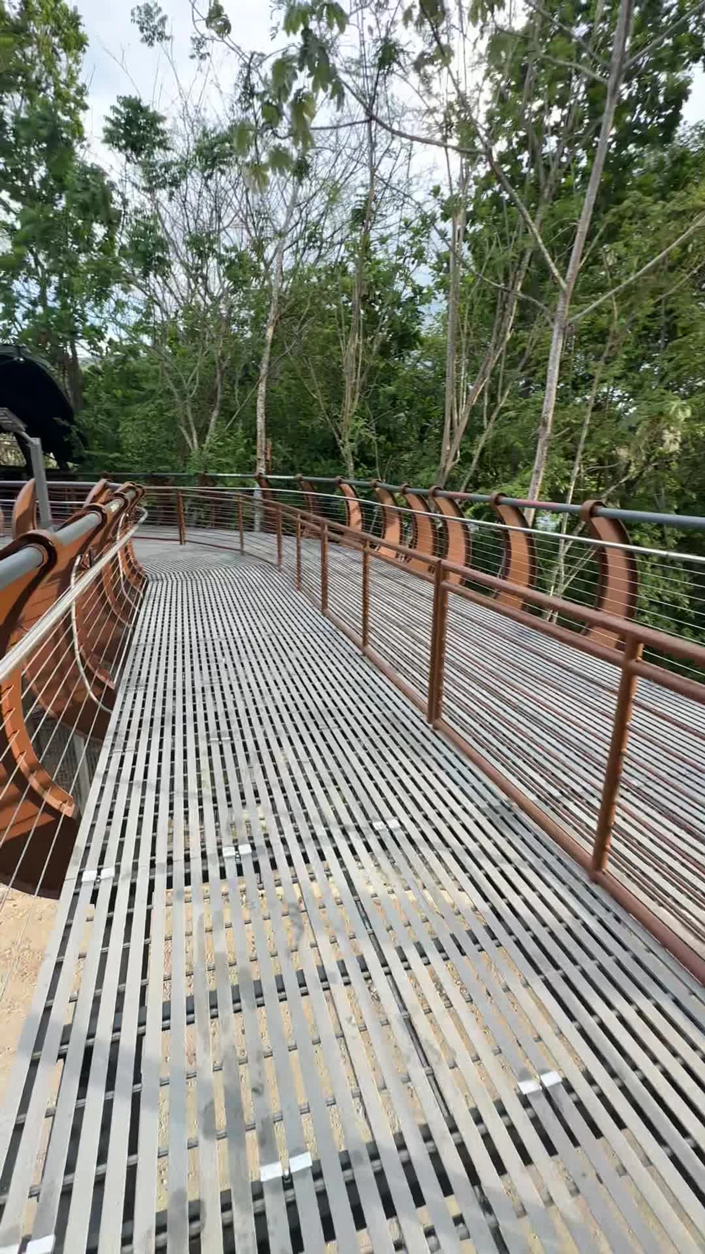 Real elevated walkway at The Croc Skywalk