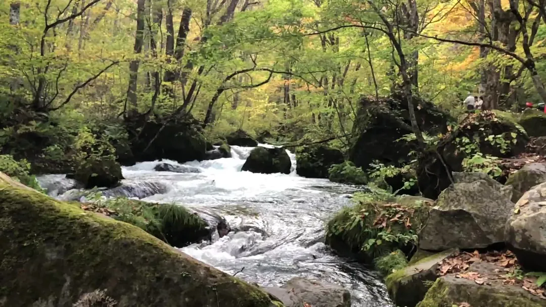 Oirase-keiryū gorge - Rural Travels, Japan - Rexby