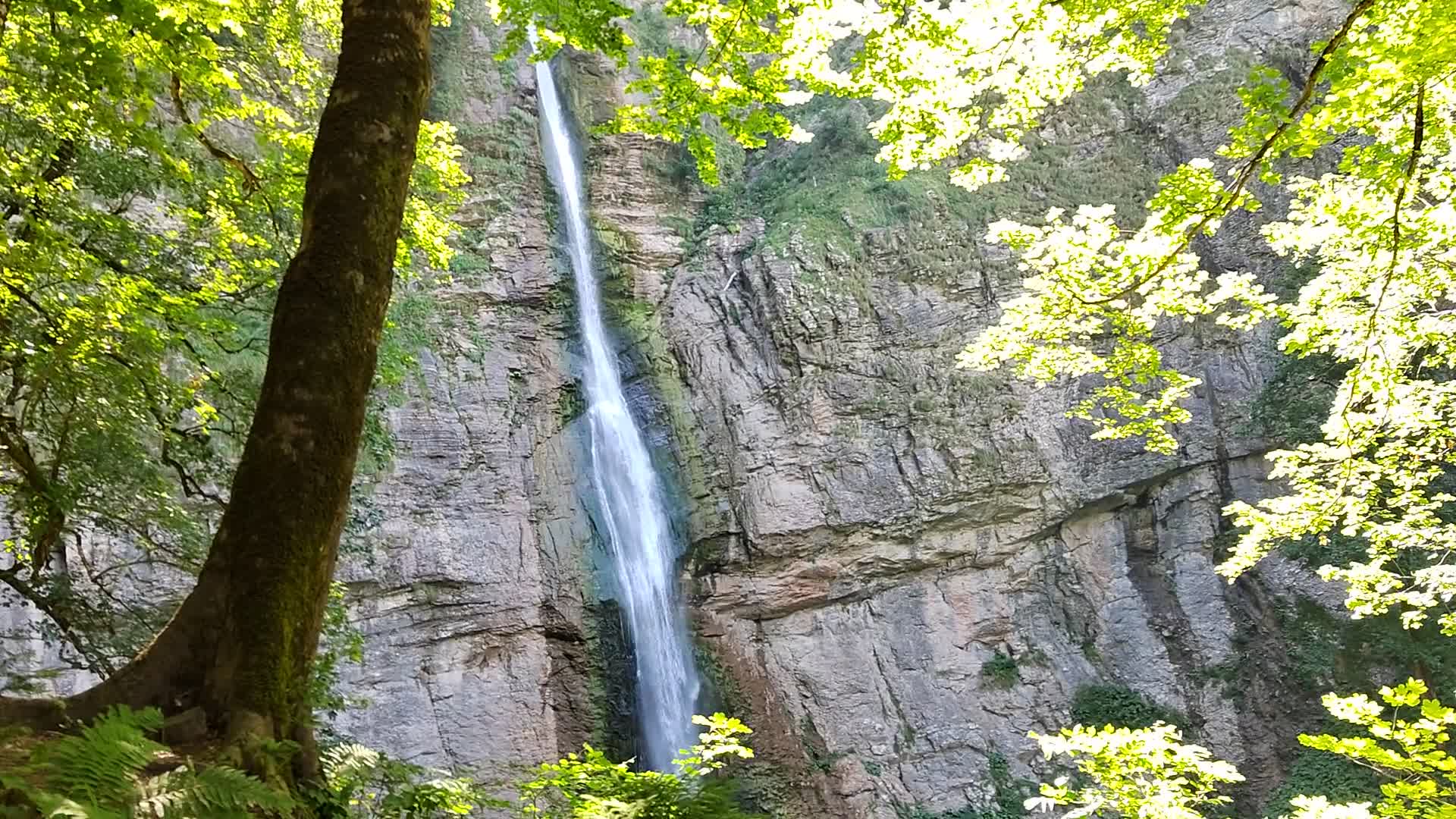 Perućica Primeval Forest Hike