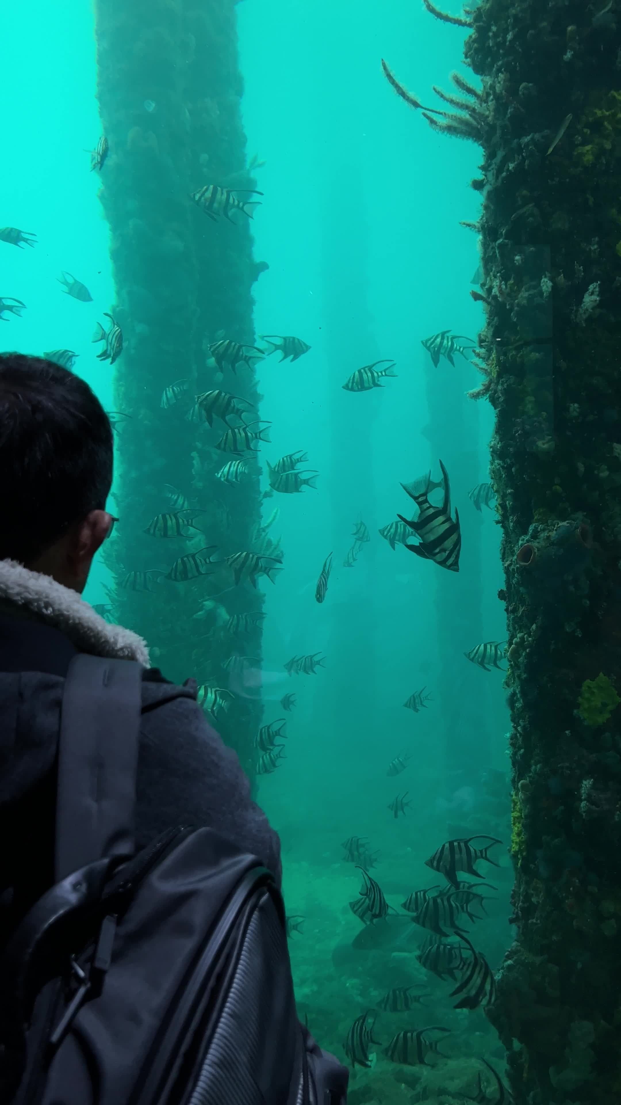 Busselton Underwater Observatory