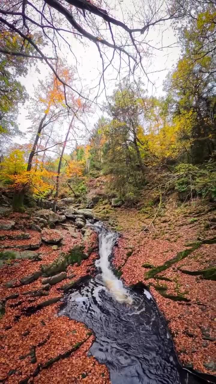 Promenade de la Hoëgne / La Hoëgne Valley