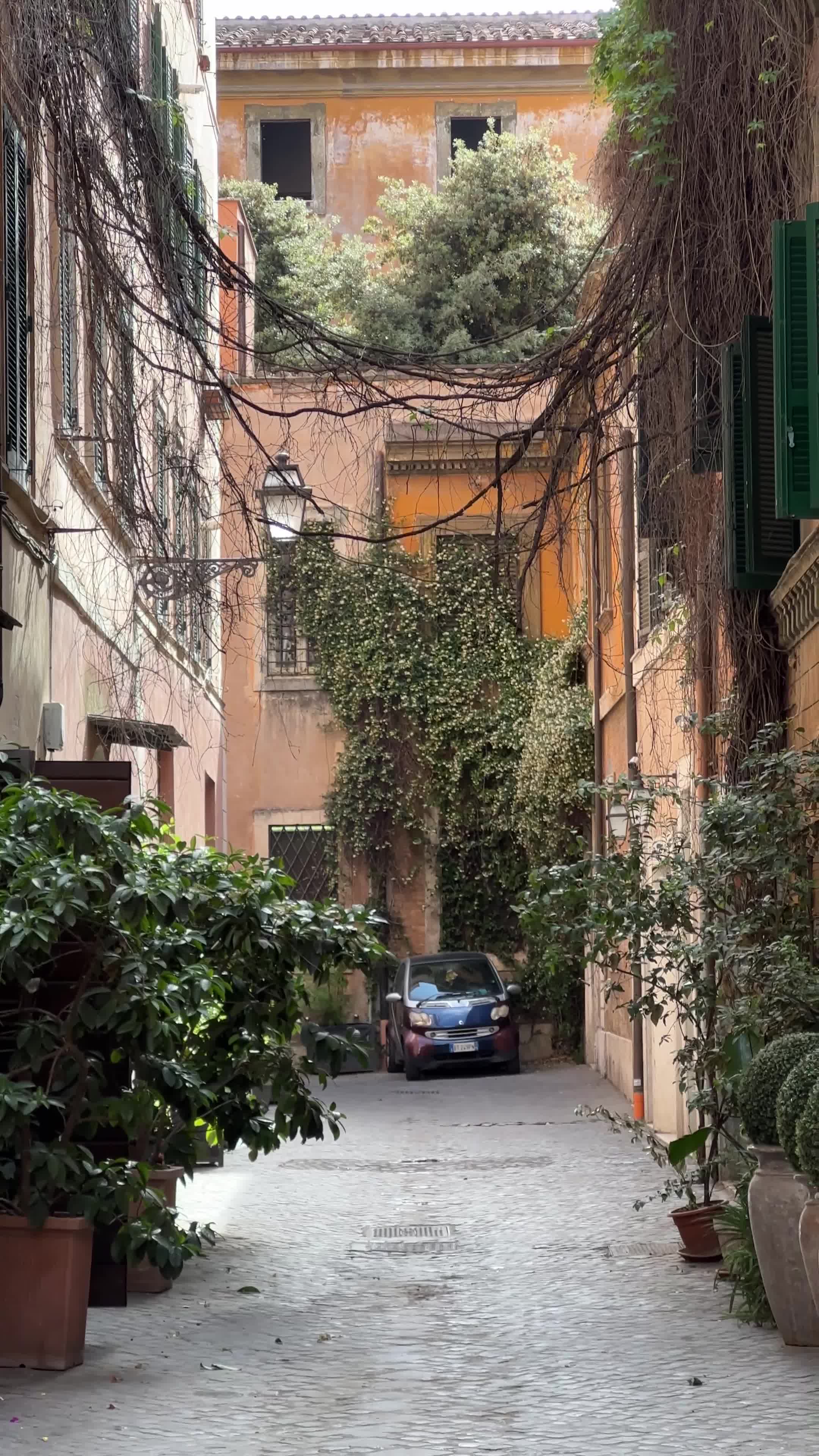 Vicolo delle Orsoline - Italy - Rexby