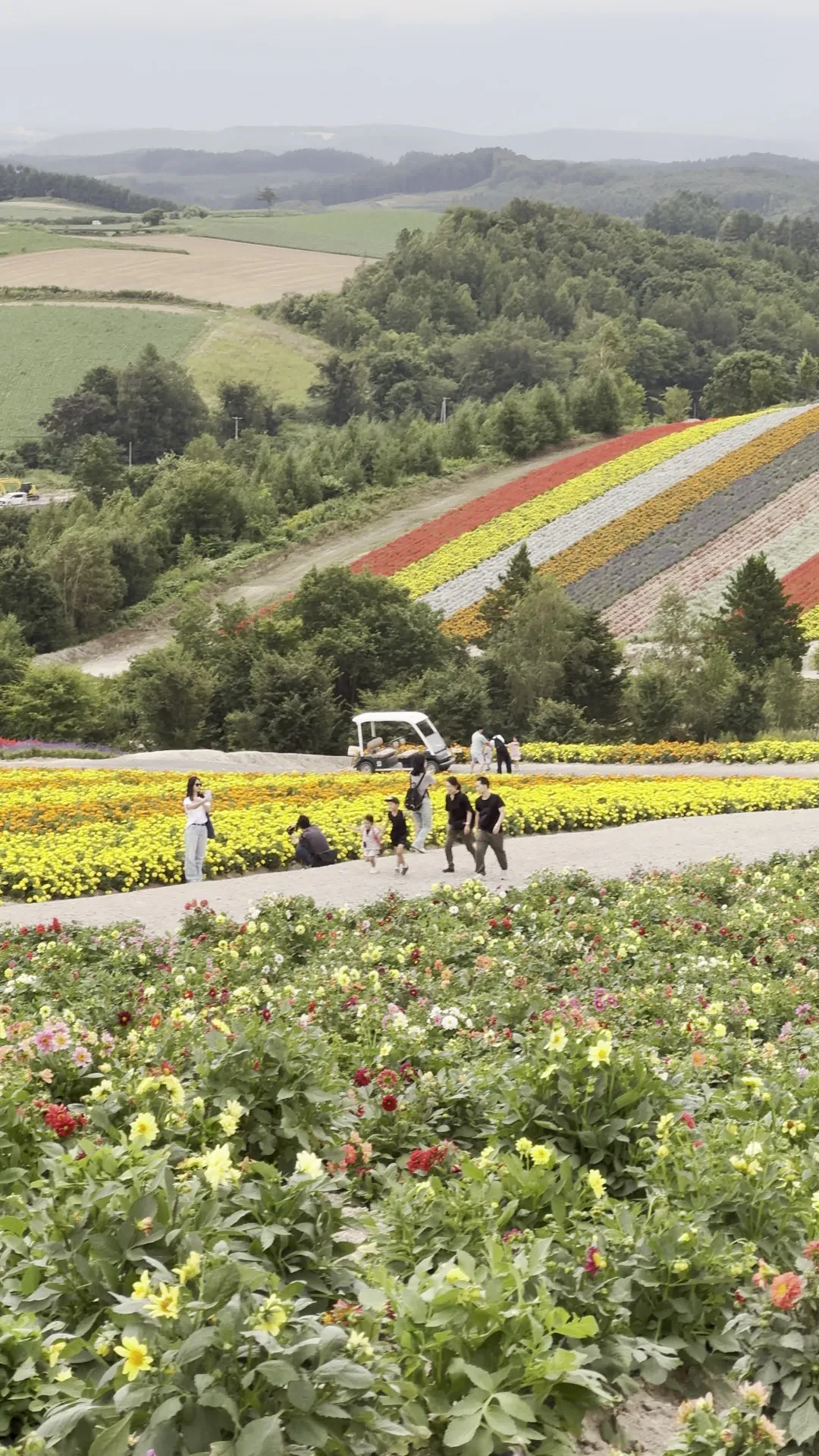 Panoramic Flower Gardens Shikisai-no-oka - Rural Travels, Japan