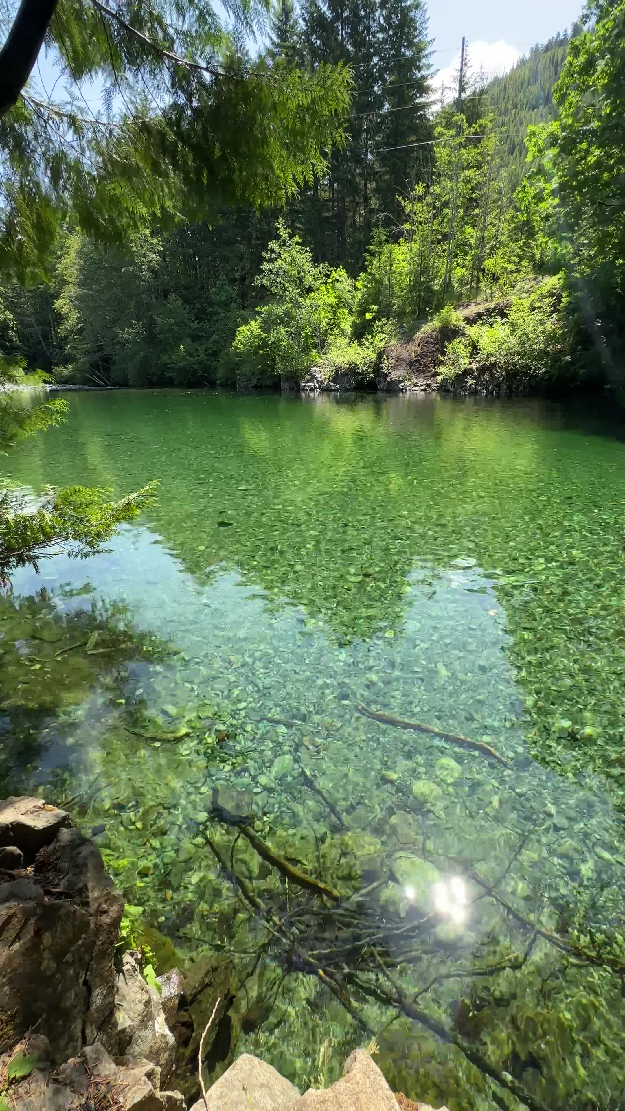Taylor River Rest Area