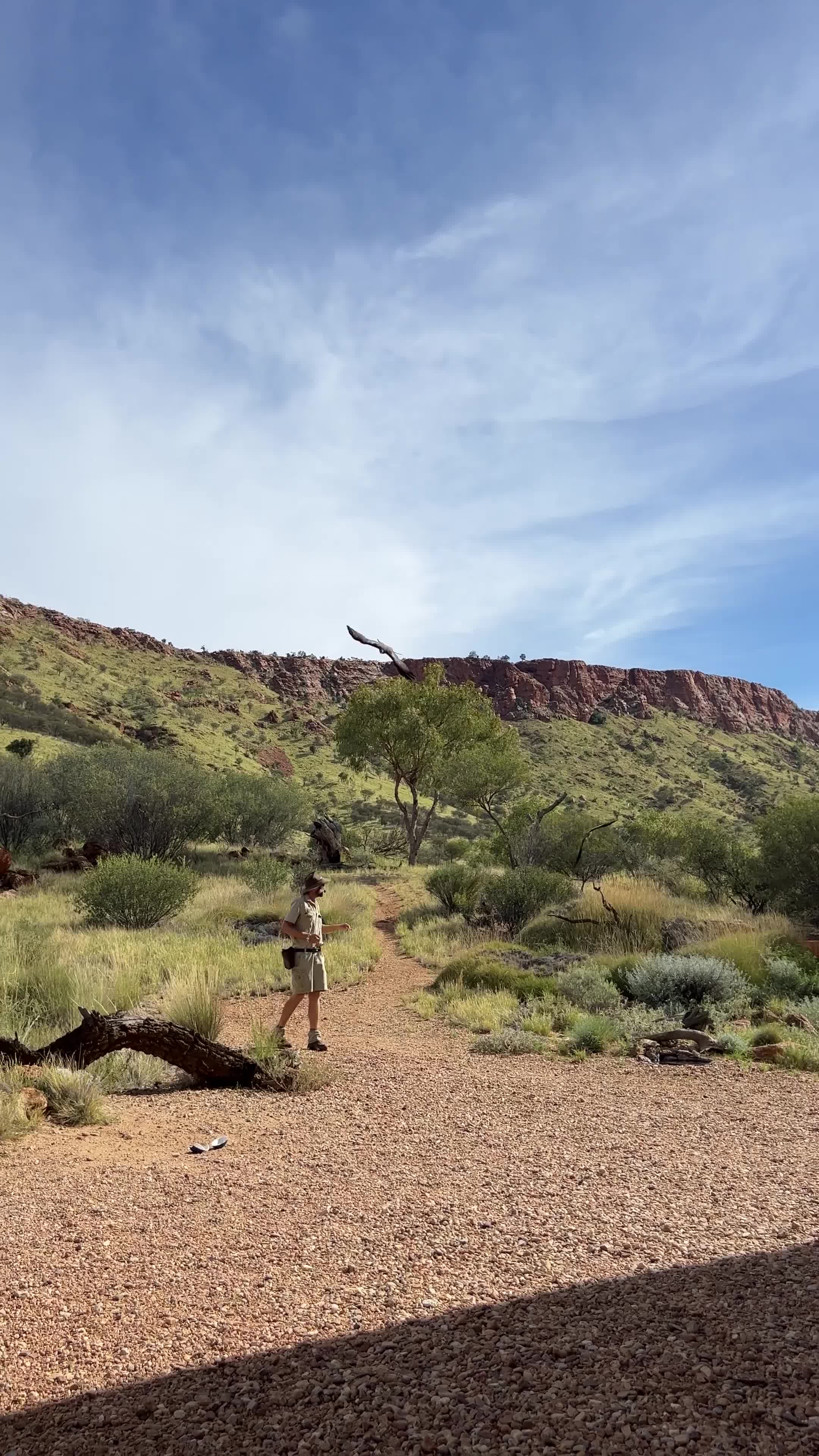 Alice Springs Desert Park