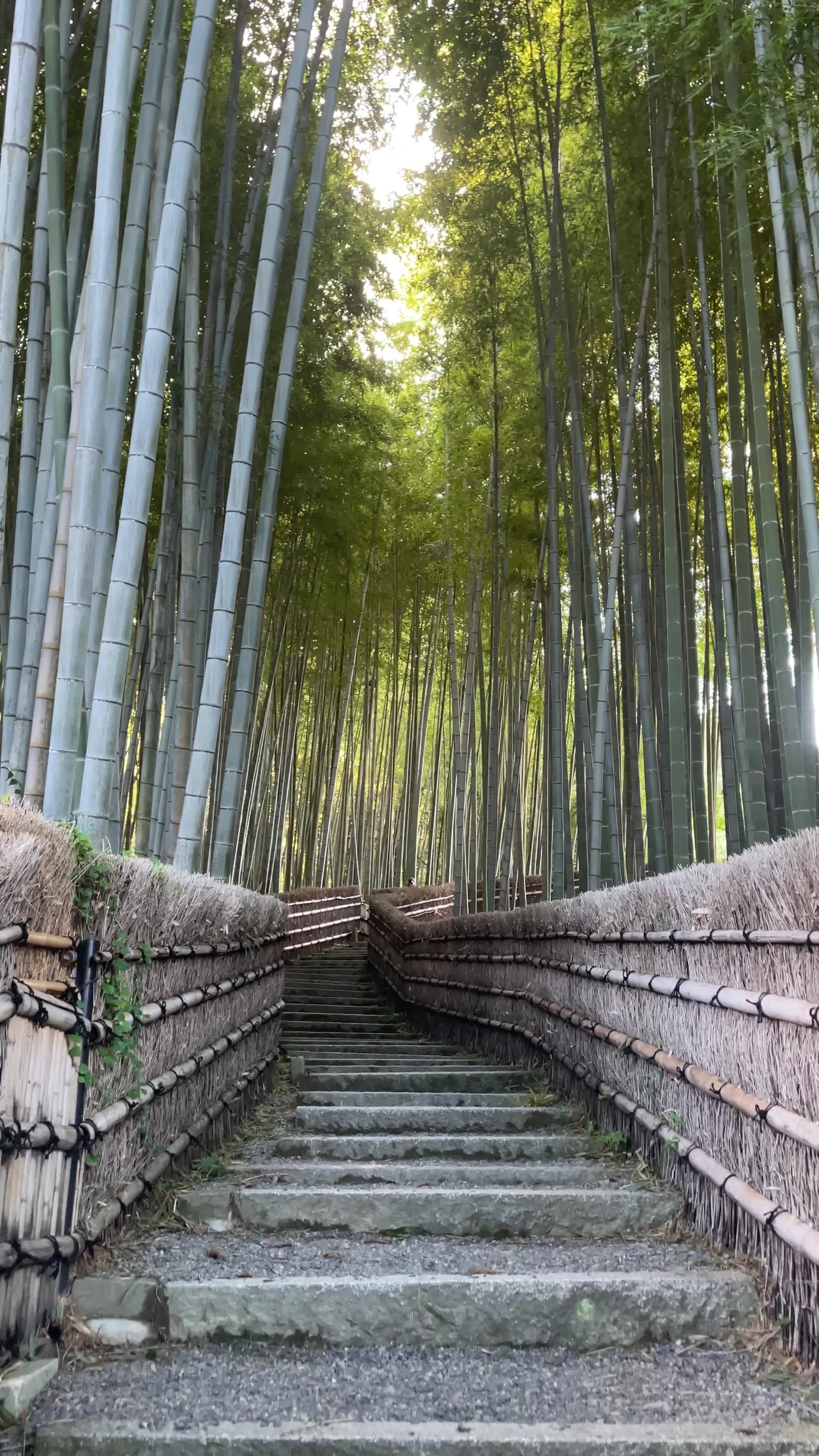 Adashino Nenbutsuji Temple