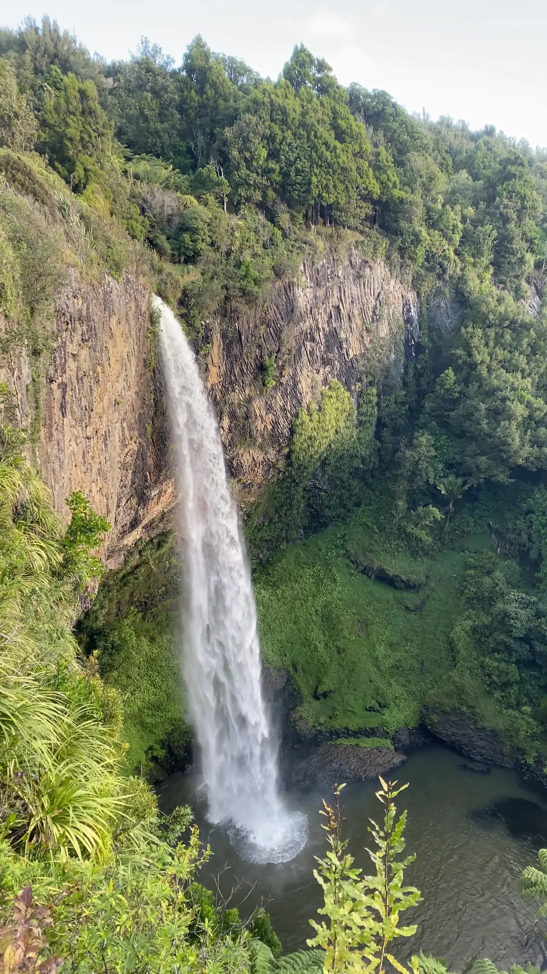 Wairēinga / Bridal Veil Falls - New Zealand - Rexby