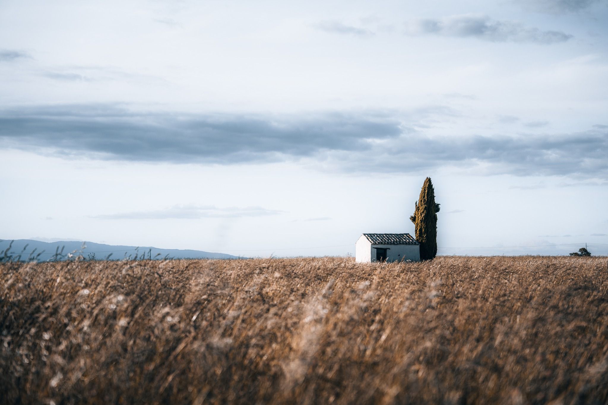 Valensole Cypress Hut