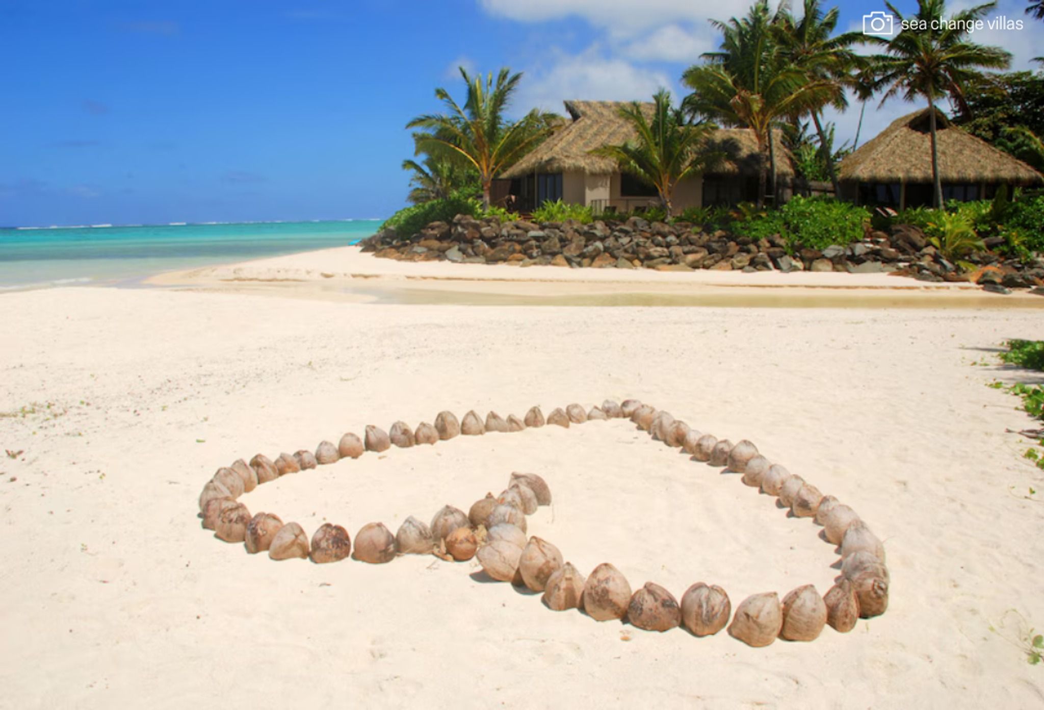 The Coconut Hearts of Rarotonga 