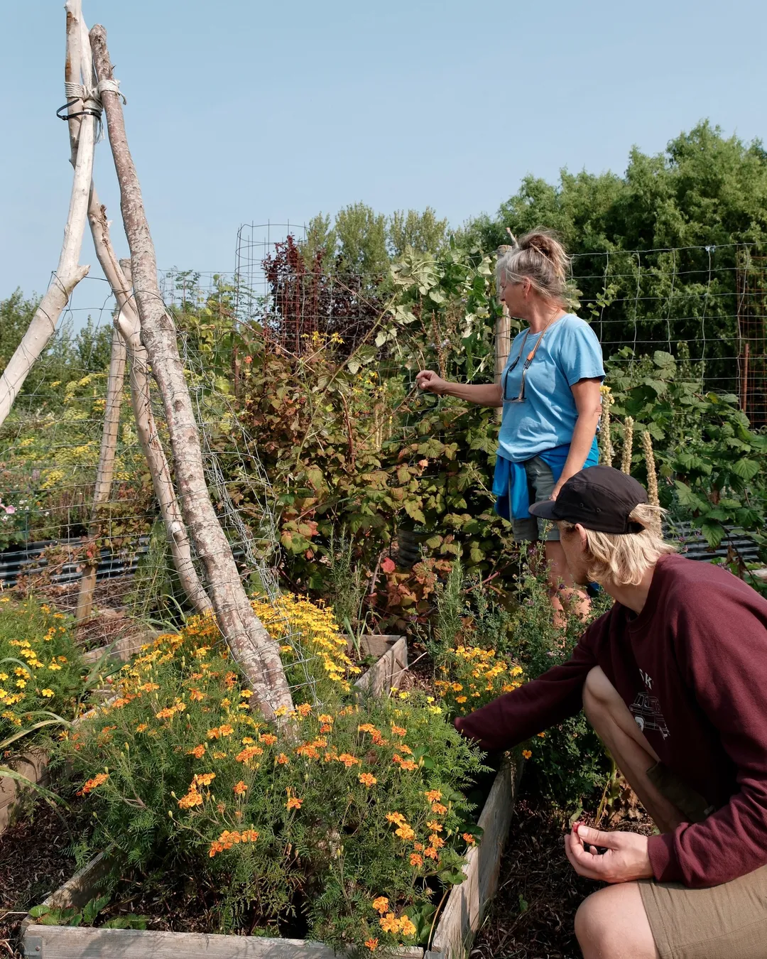 Fejø Økologiske Madskov