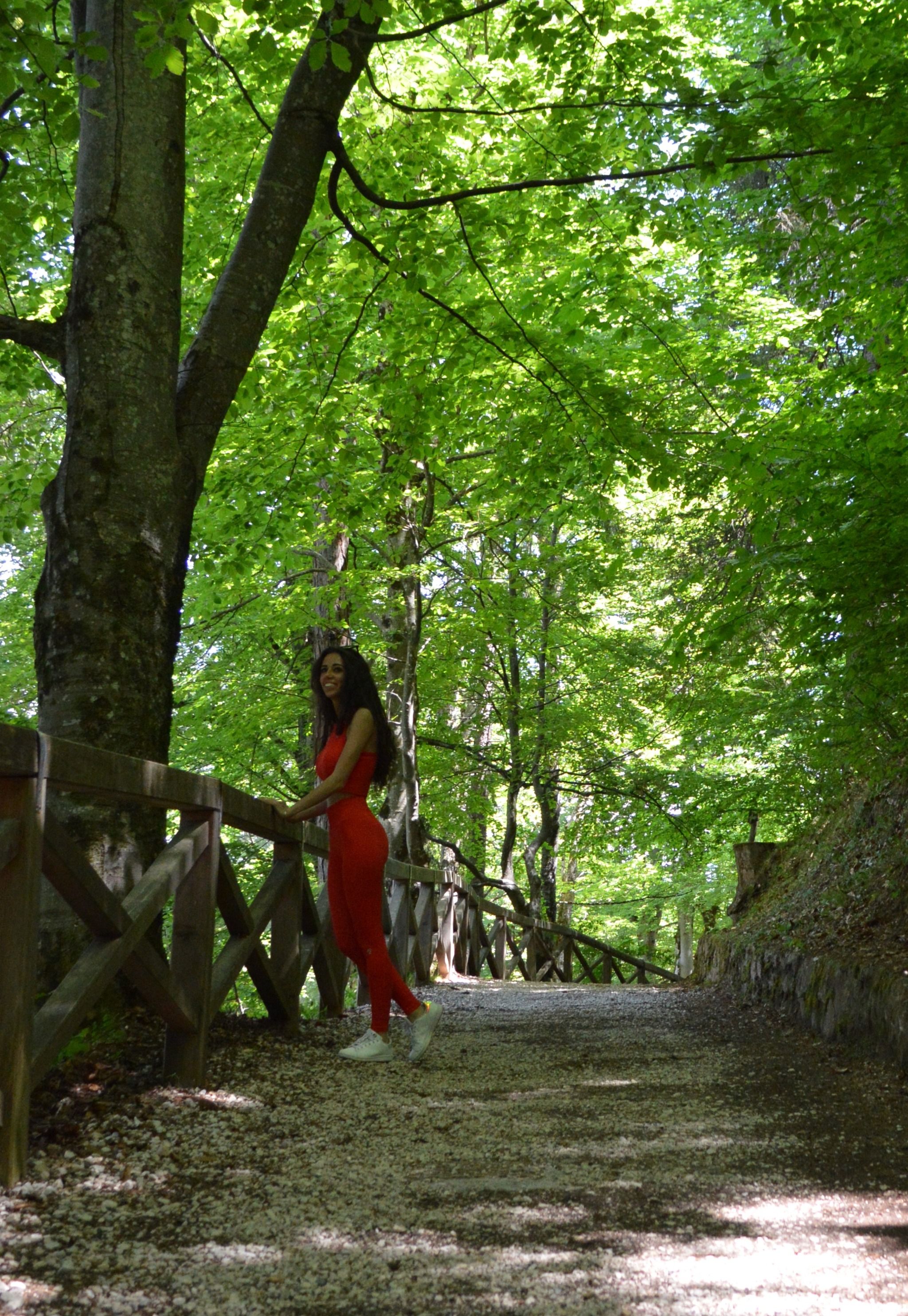 Parco Roccolo