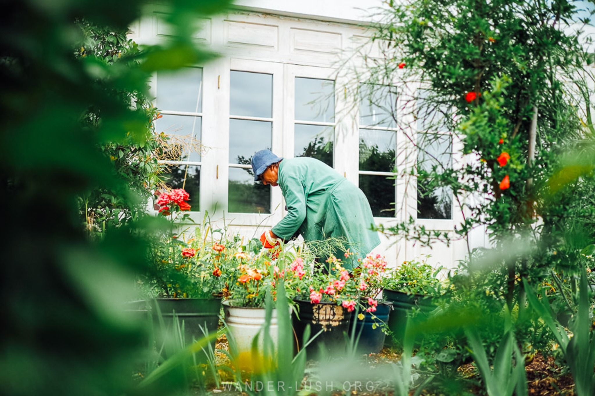 Gardenia Shevardnadze