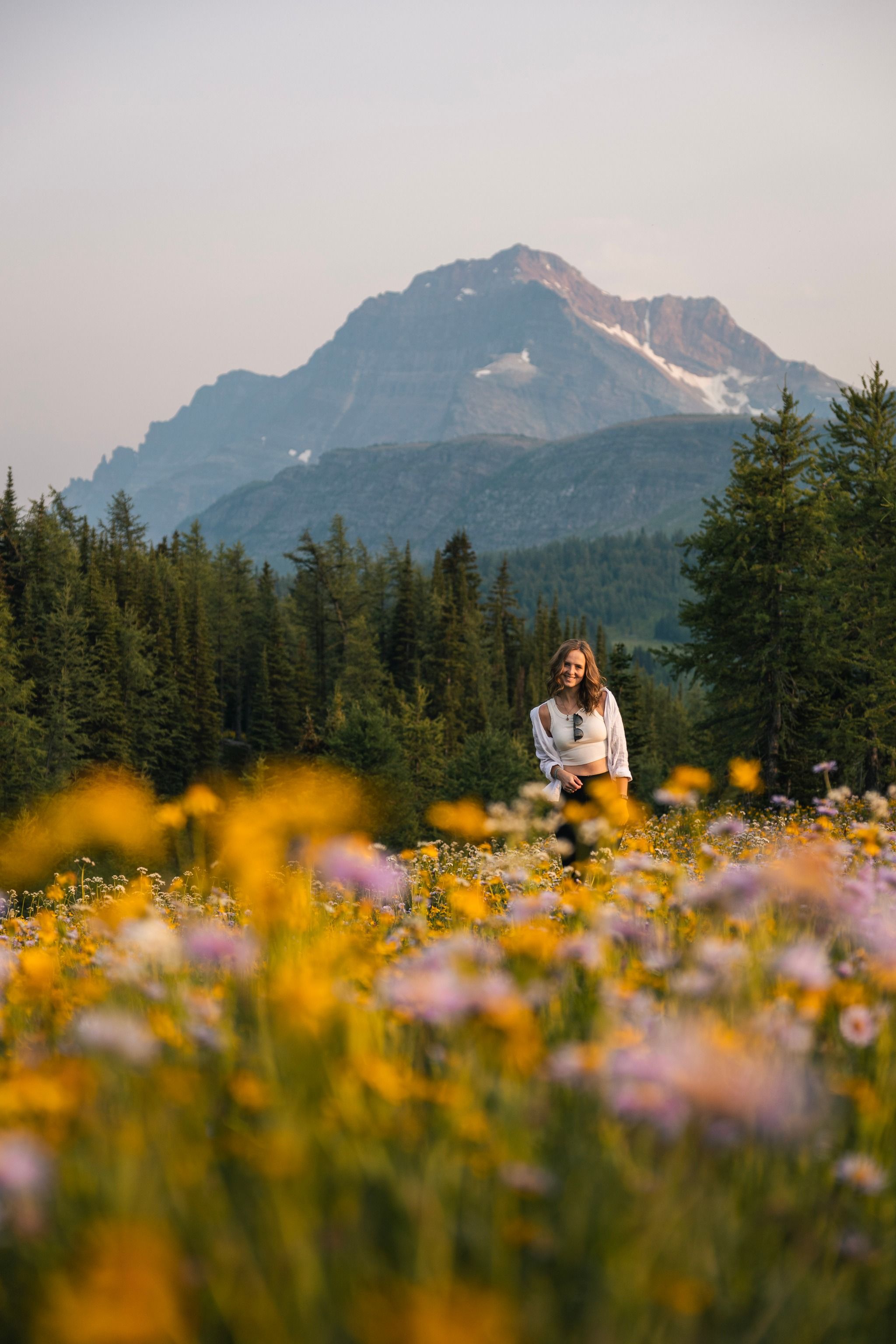 Healy Pass Trail
