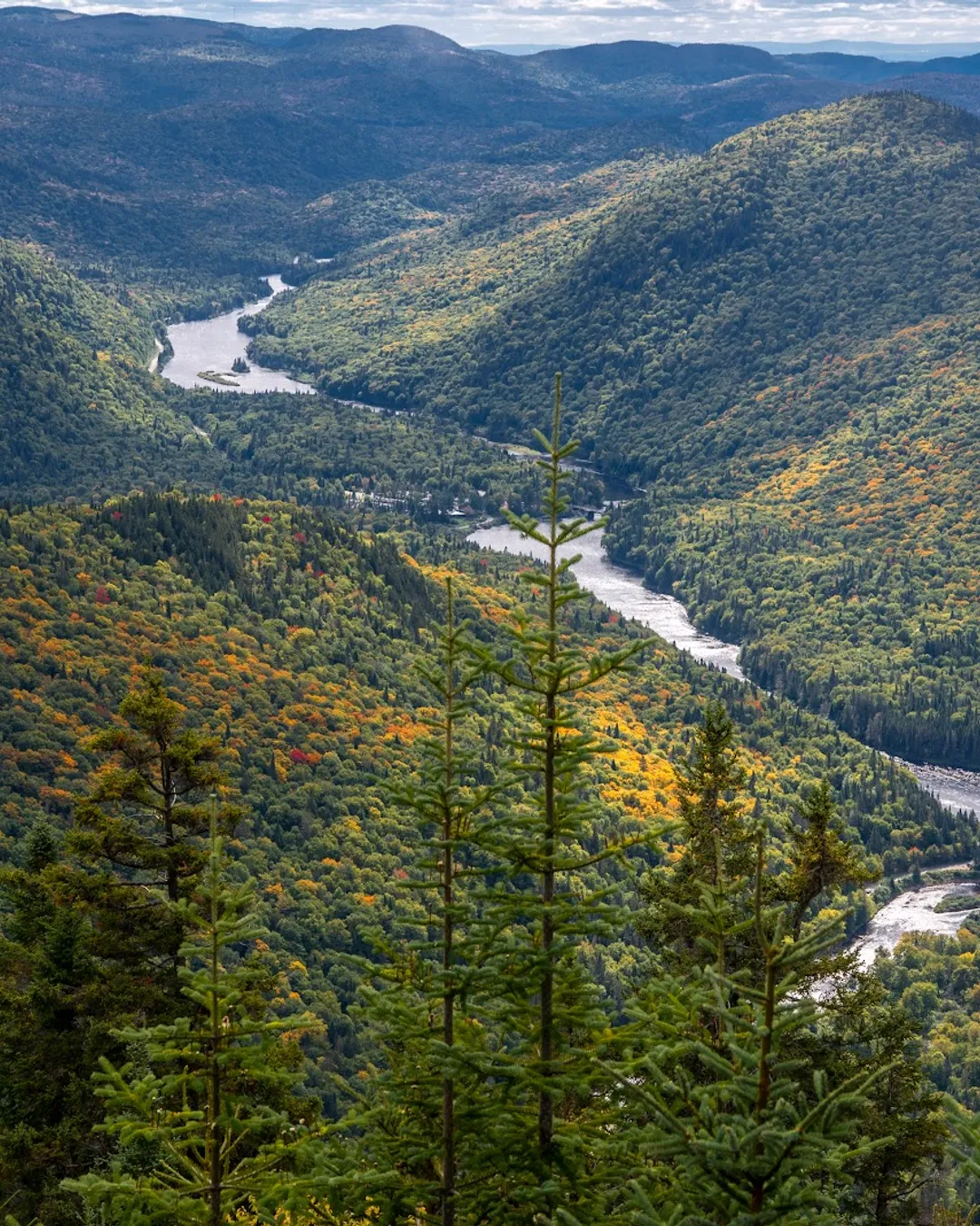 Parc national de la Jacques-Cartier