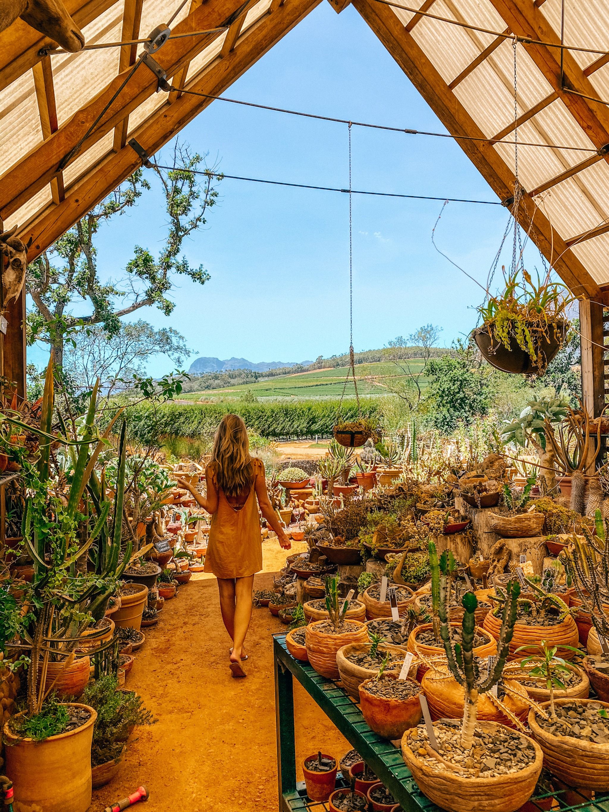 Babylonstoren Wine Estate