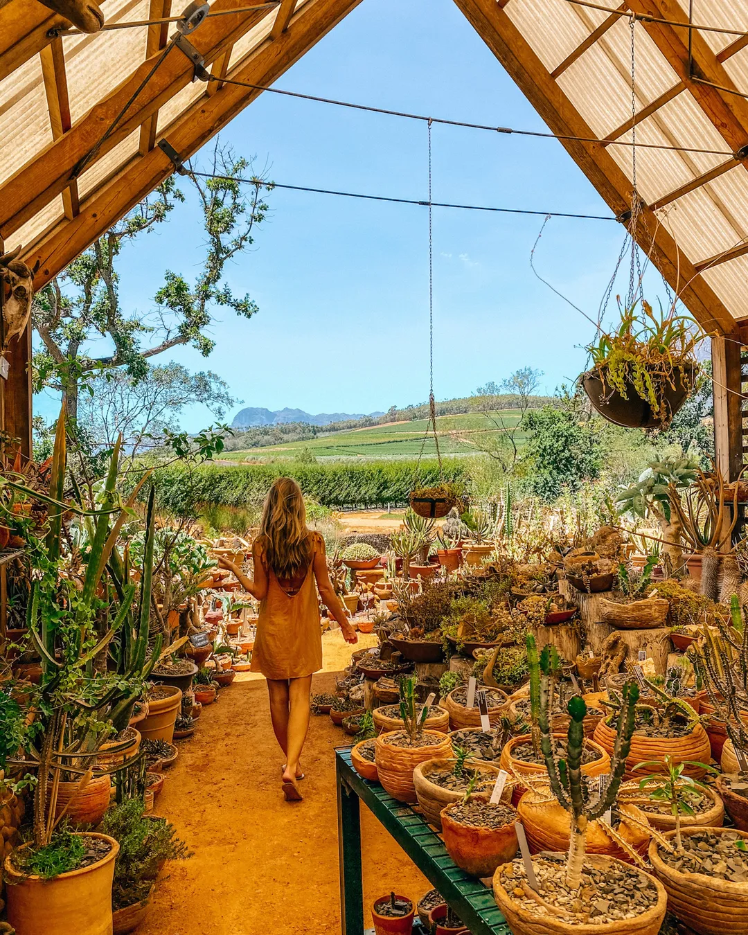 Babylonstoren Wine Estate