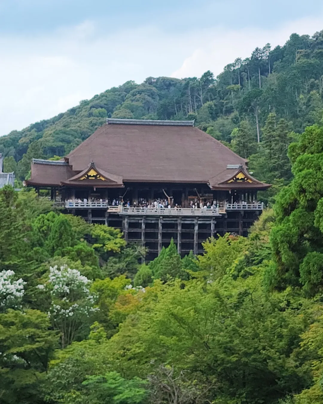 Kiyomizu-dera - Japan - Rexby
