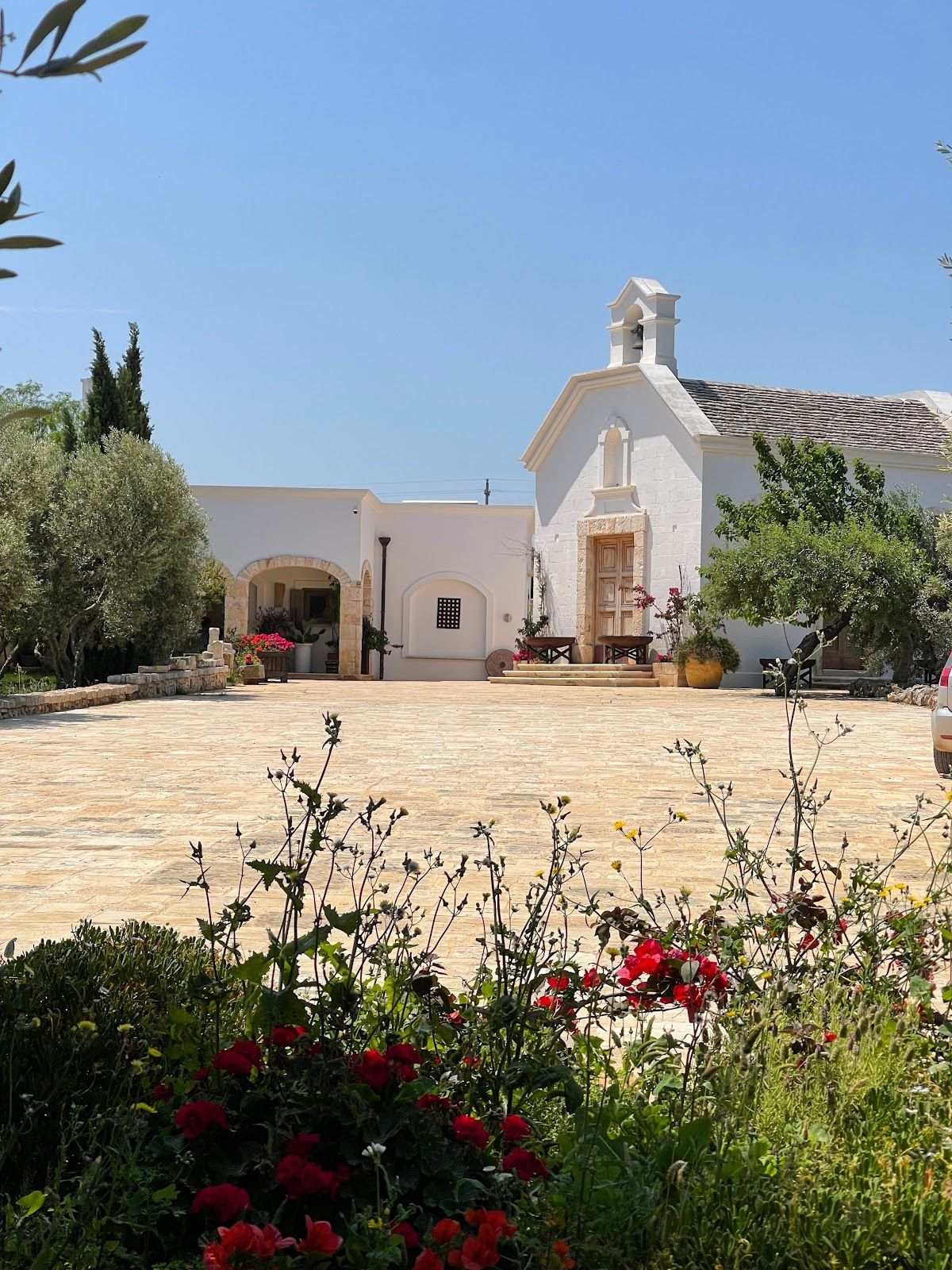 Food and wine degustation at Terre di San