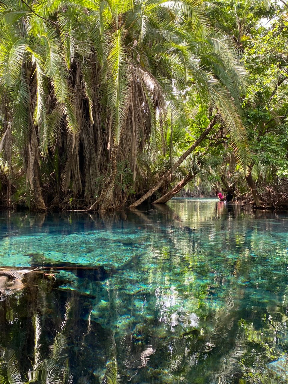 CHEMKA HOT SPRINGS (KIKULETWA HOT SPRINGS)