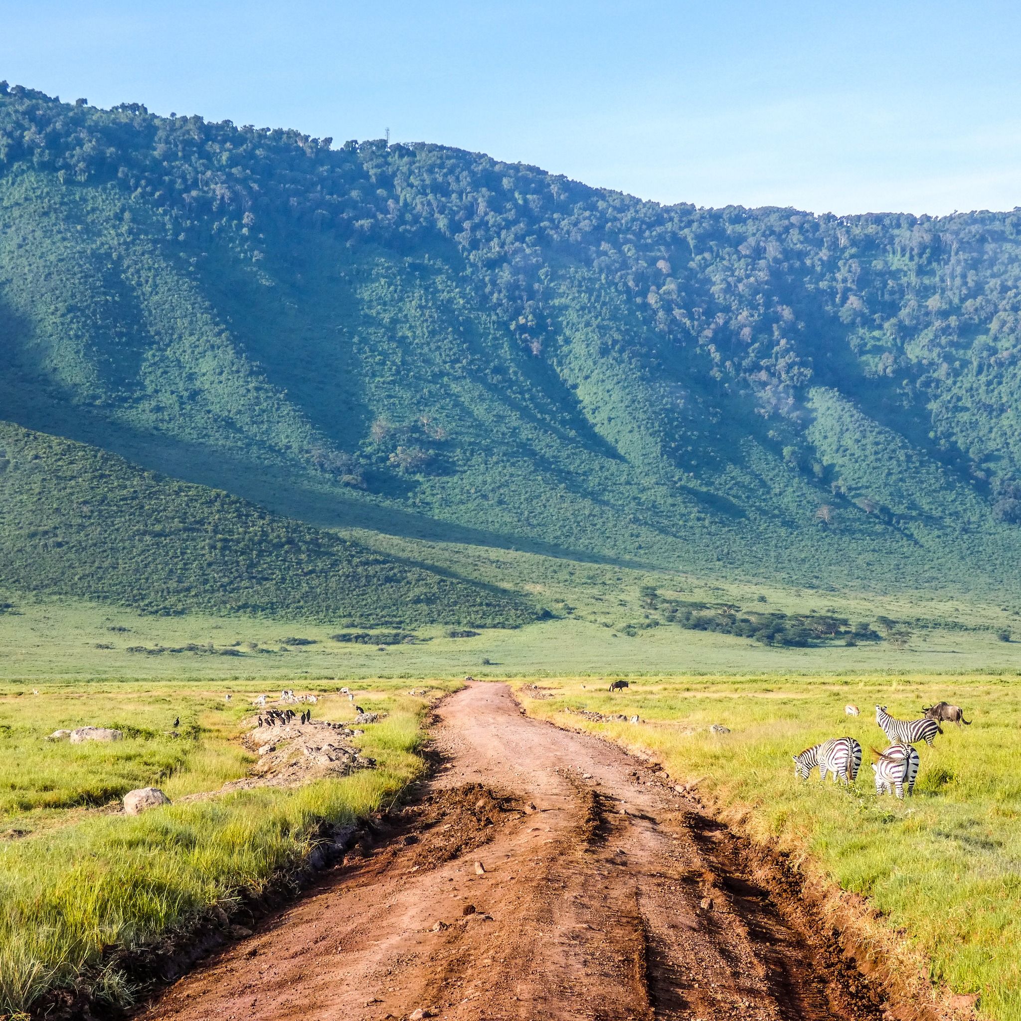 Ngorongoro Crater