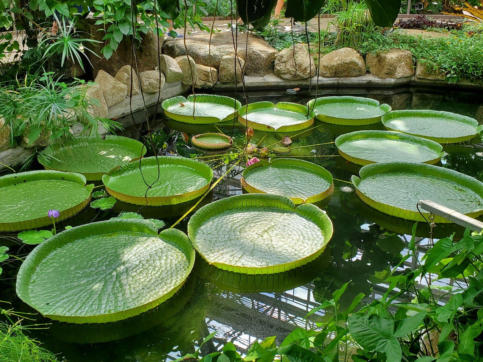 Jindai Botanical Gardens