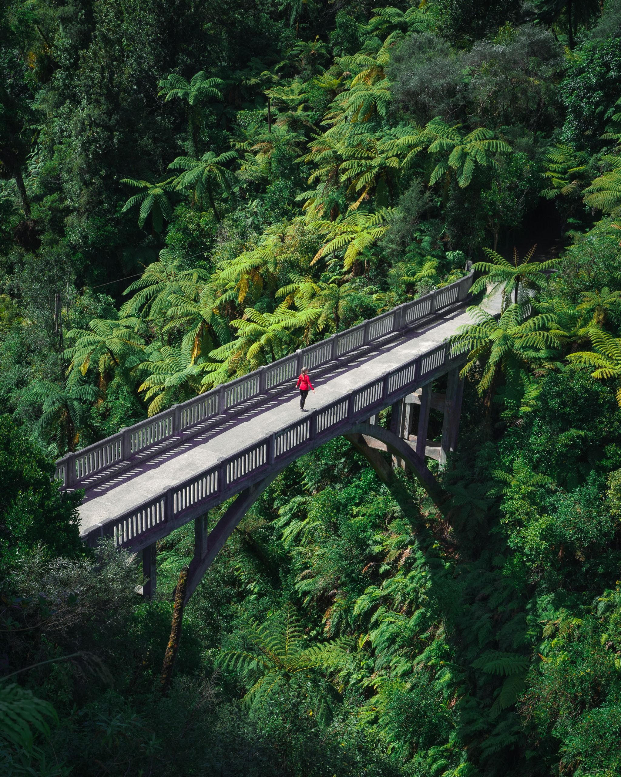 Bridge to Nowhere Walk
