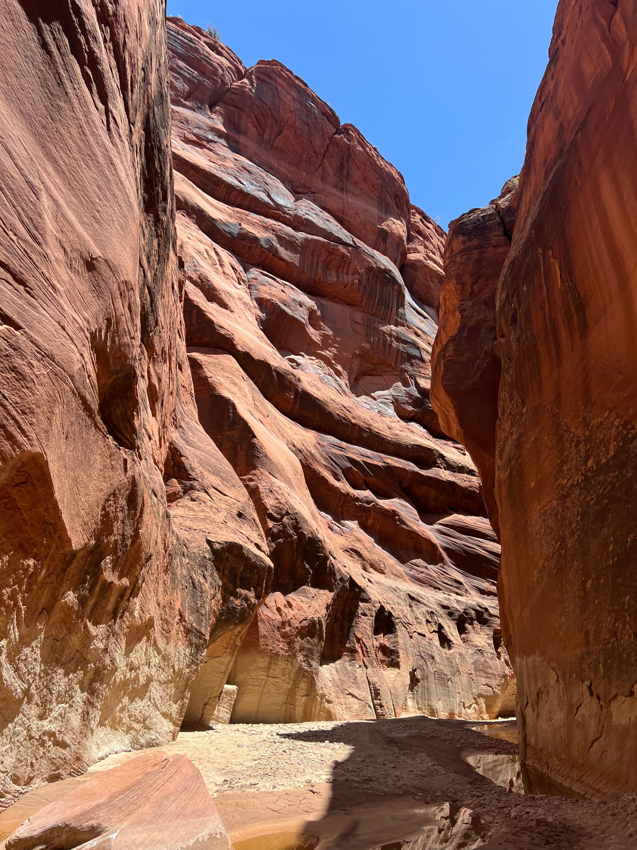 Paria Canyon