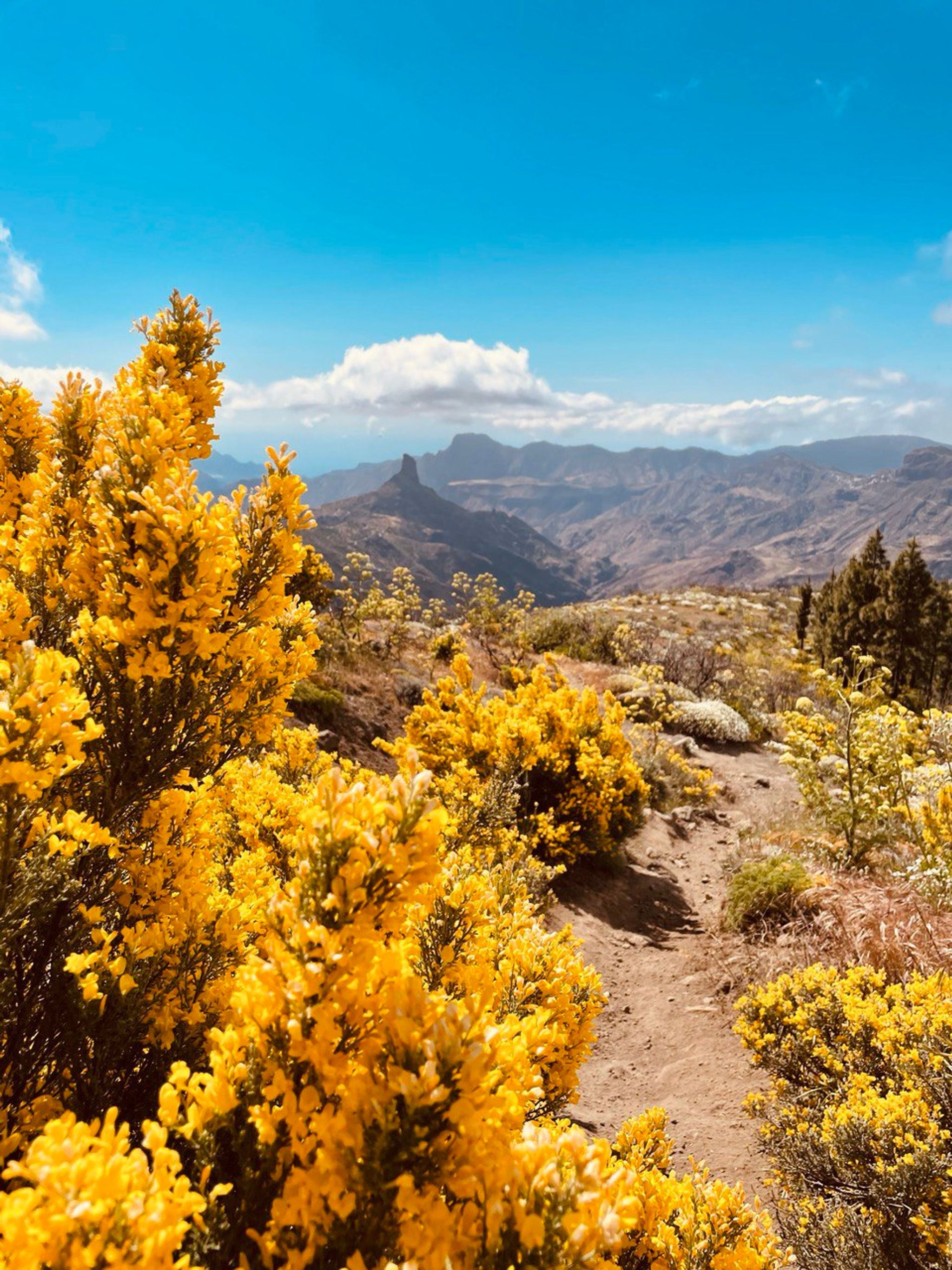 Mirador Degollada de Becerra