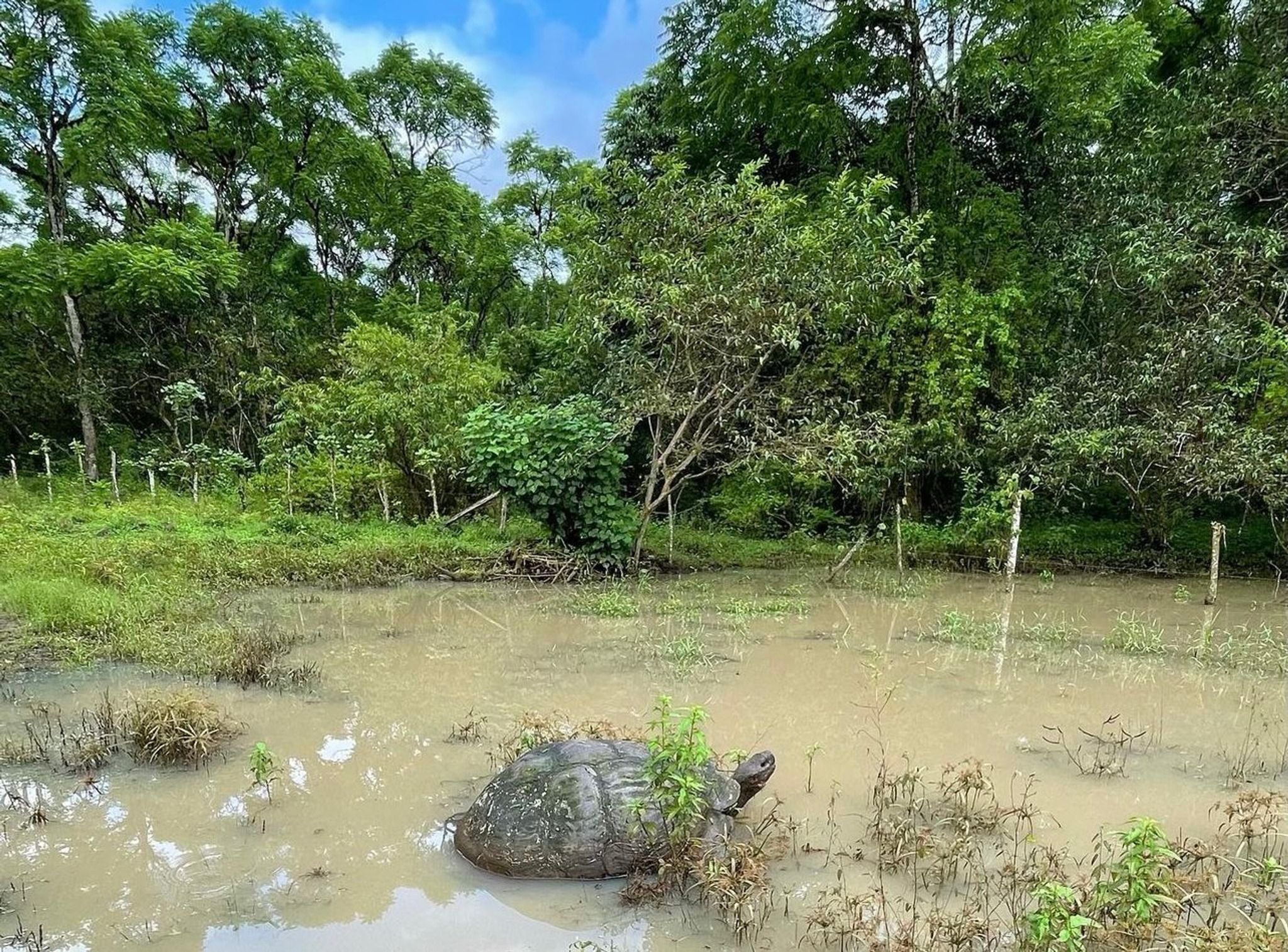Rancho Primicias - Giant Tortoise Reserve