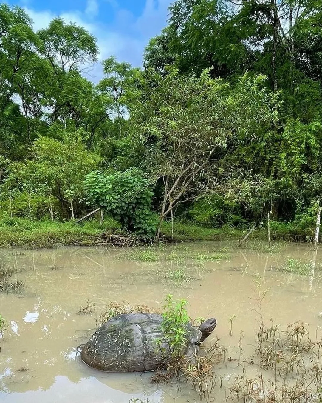 Rancho Primicias - Giant Tortoise Reserve