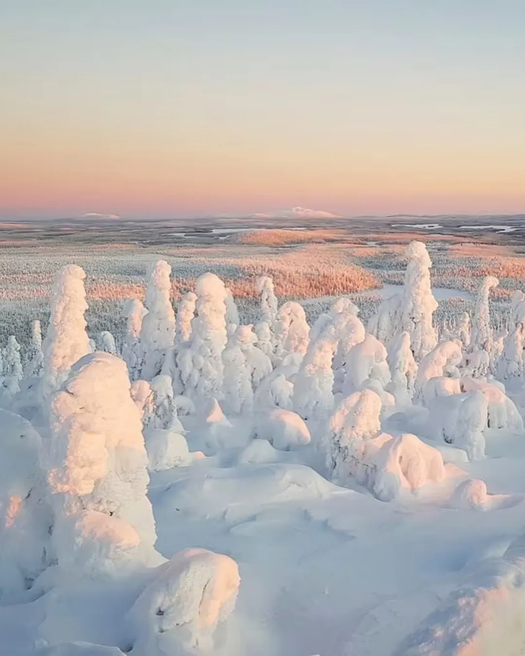 Riisitunturi National Park