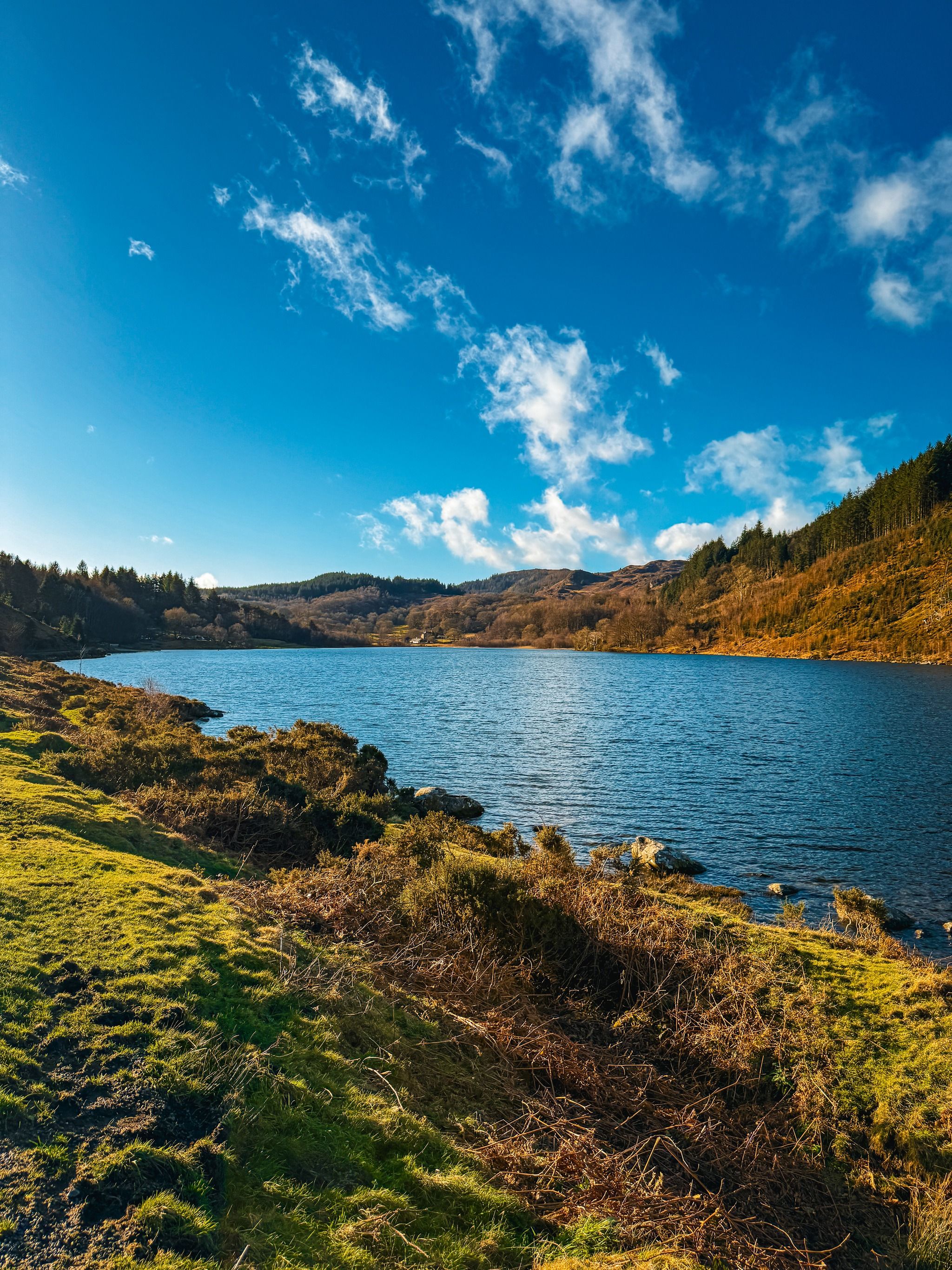 Llyn Geirionydd Walk