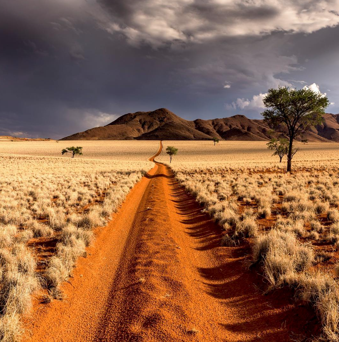 NamibRand Nature Reserve